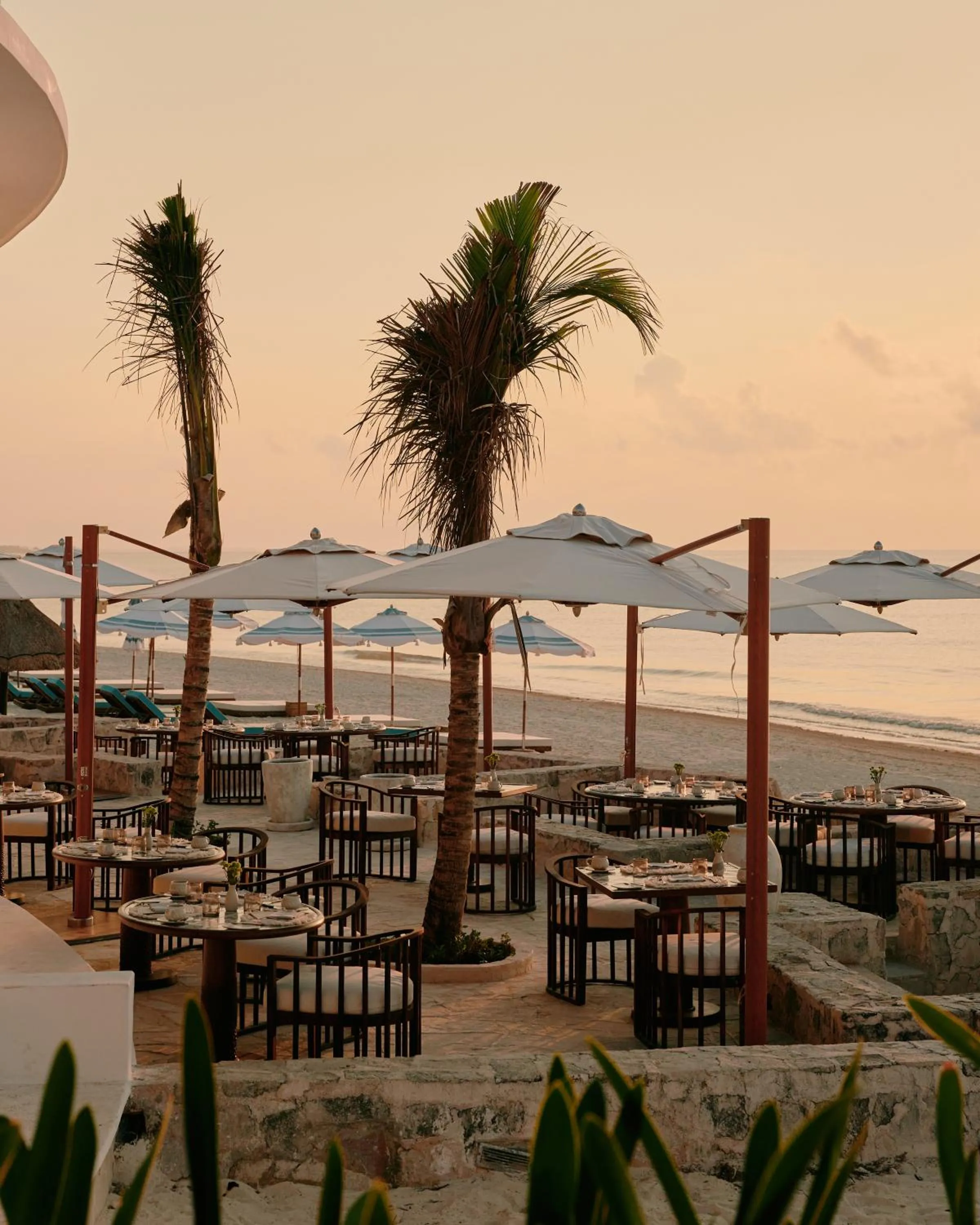Restaurant/places to eat in Maroma, A Belmond Hotel, Riviera Maya