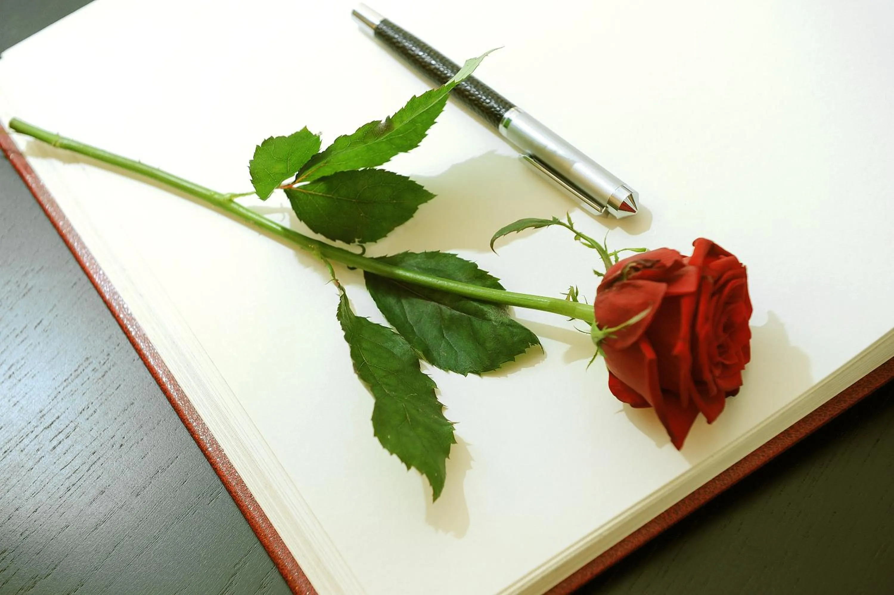 Other in Schloss Purschenstein