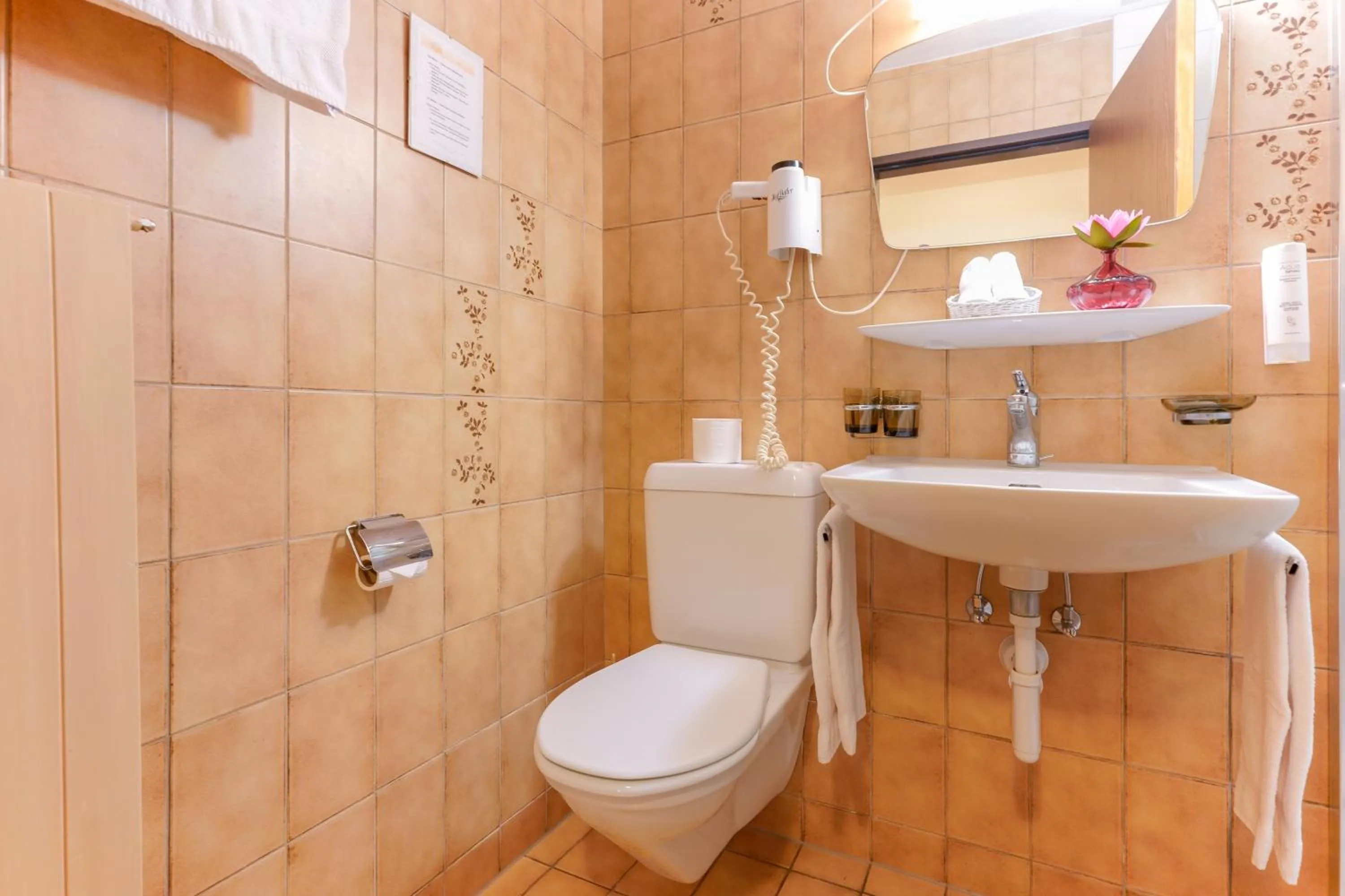 Toilet in Hôtel du Grand-Pré