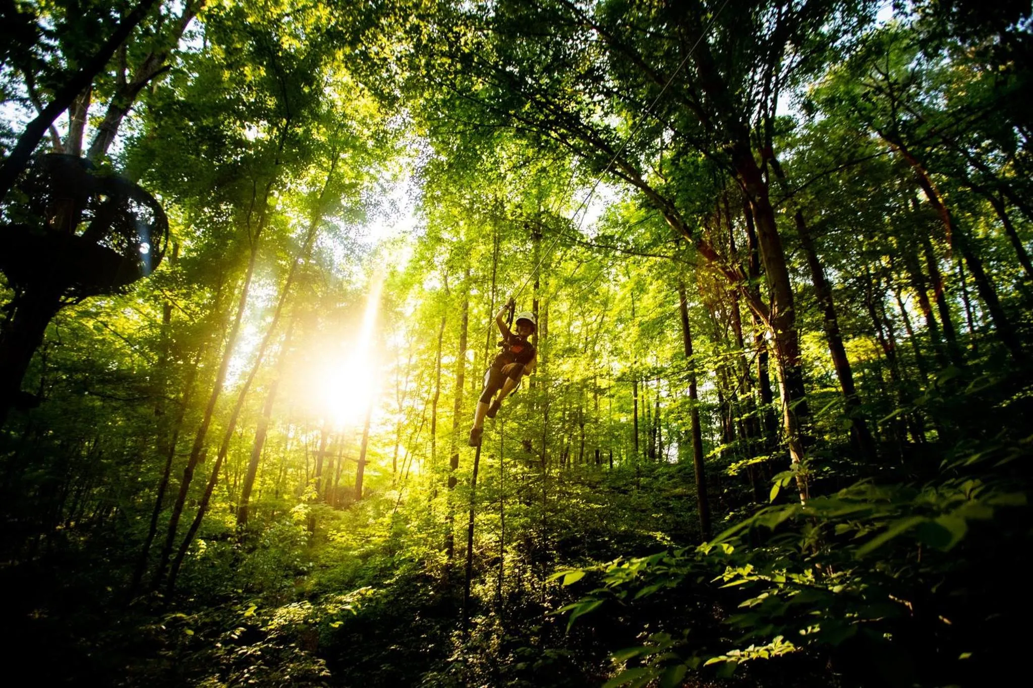 Nearby landmark in Holiday Inn Express & Suites Knoxville-Farragut by IHG