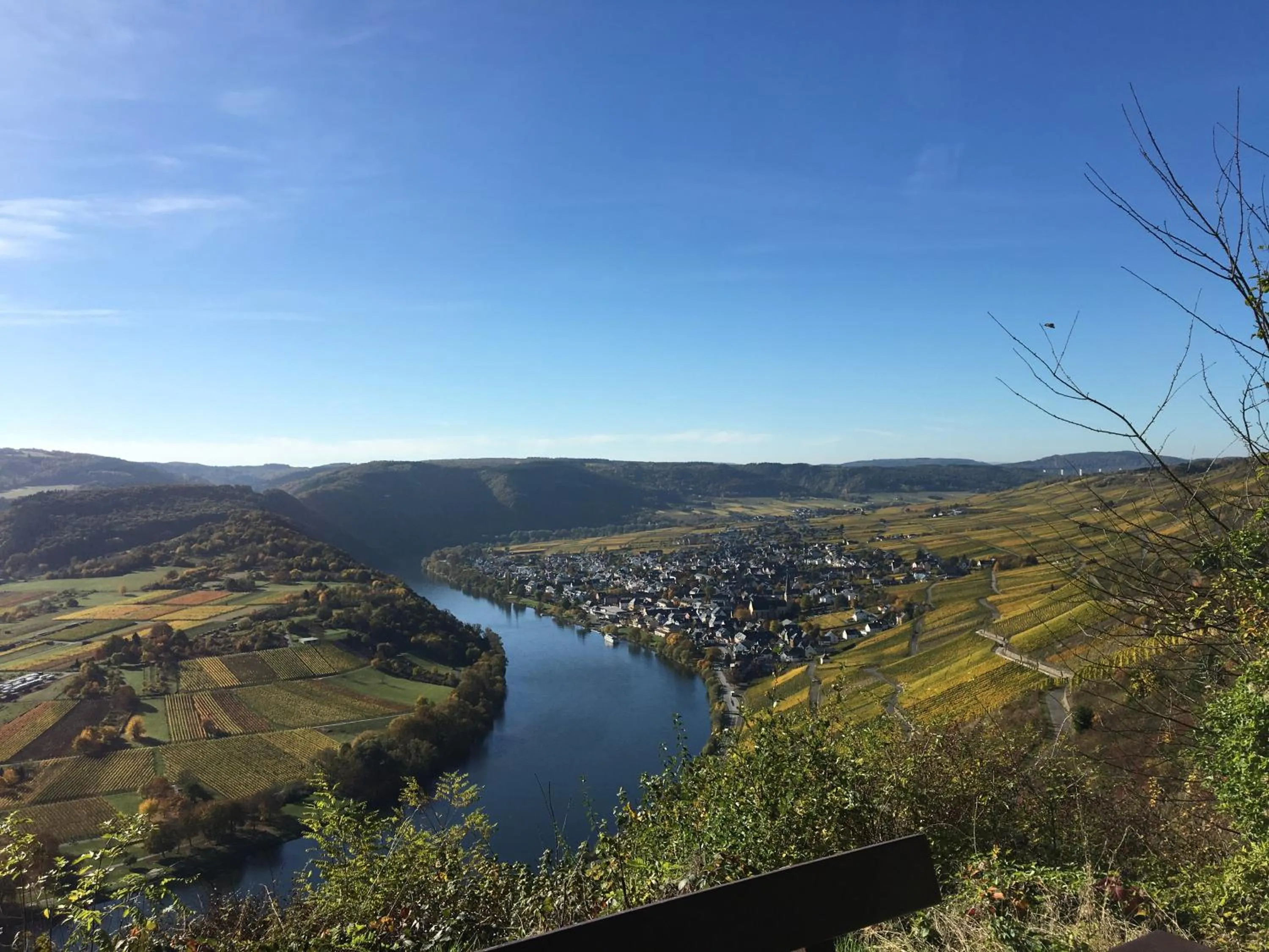 Natural landscape in Hotel Springiersbacher-Hof