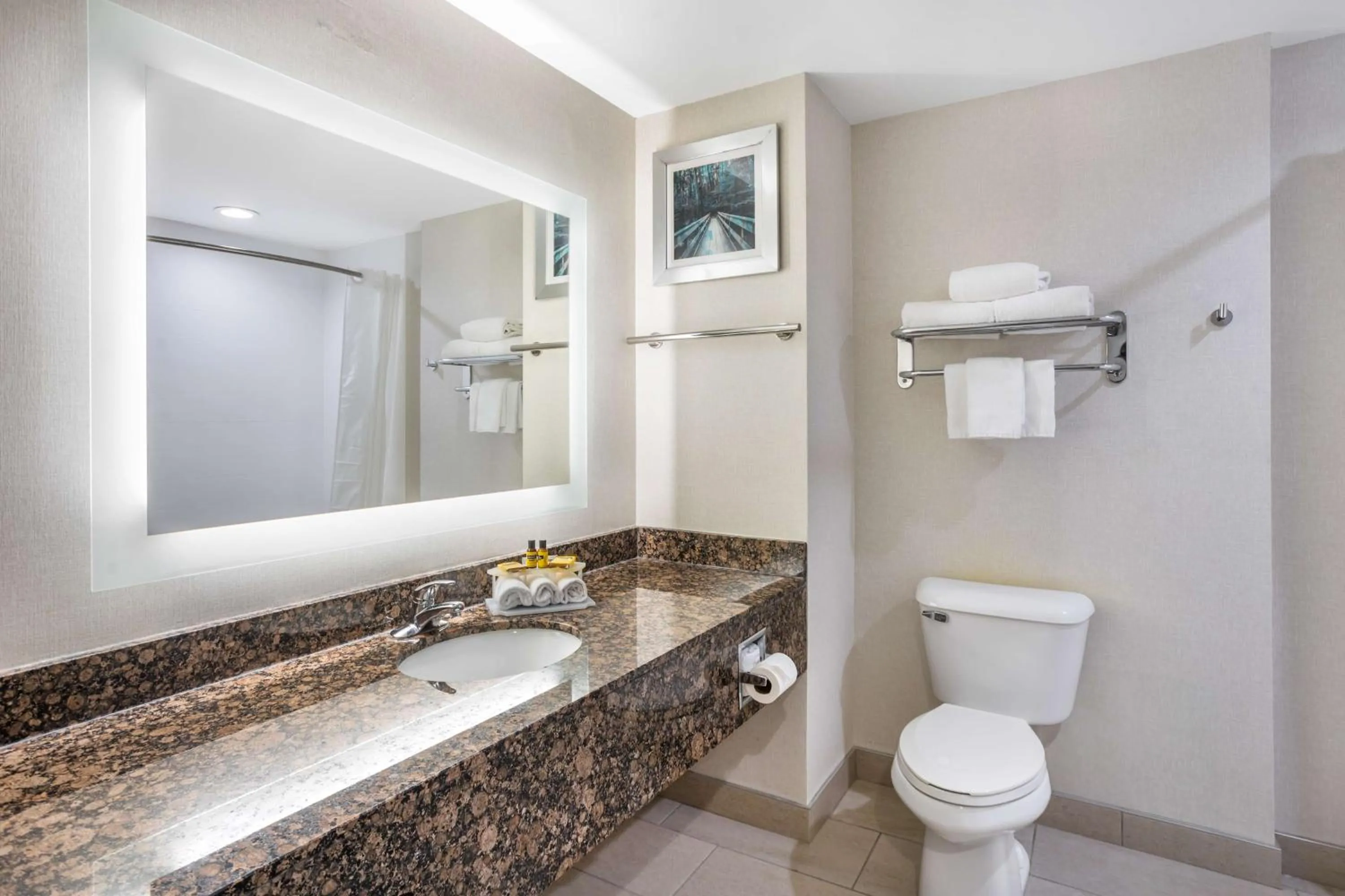 Bathroom in Best Western Plus Wilkes Barre-Scranton Airport Hotel