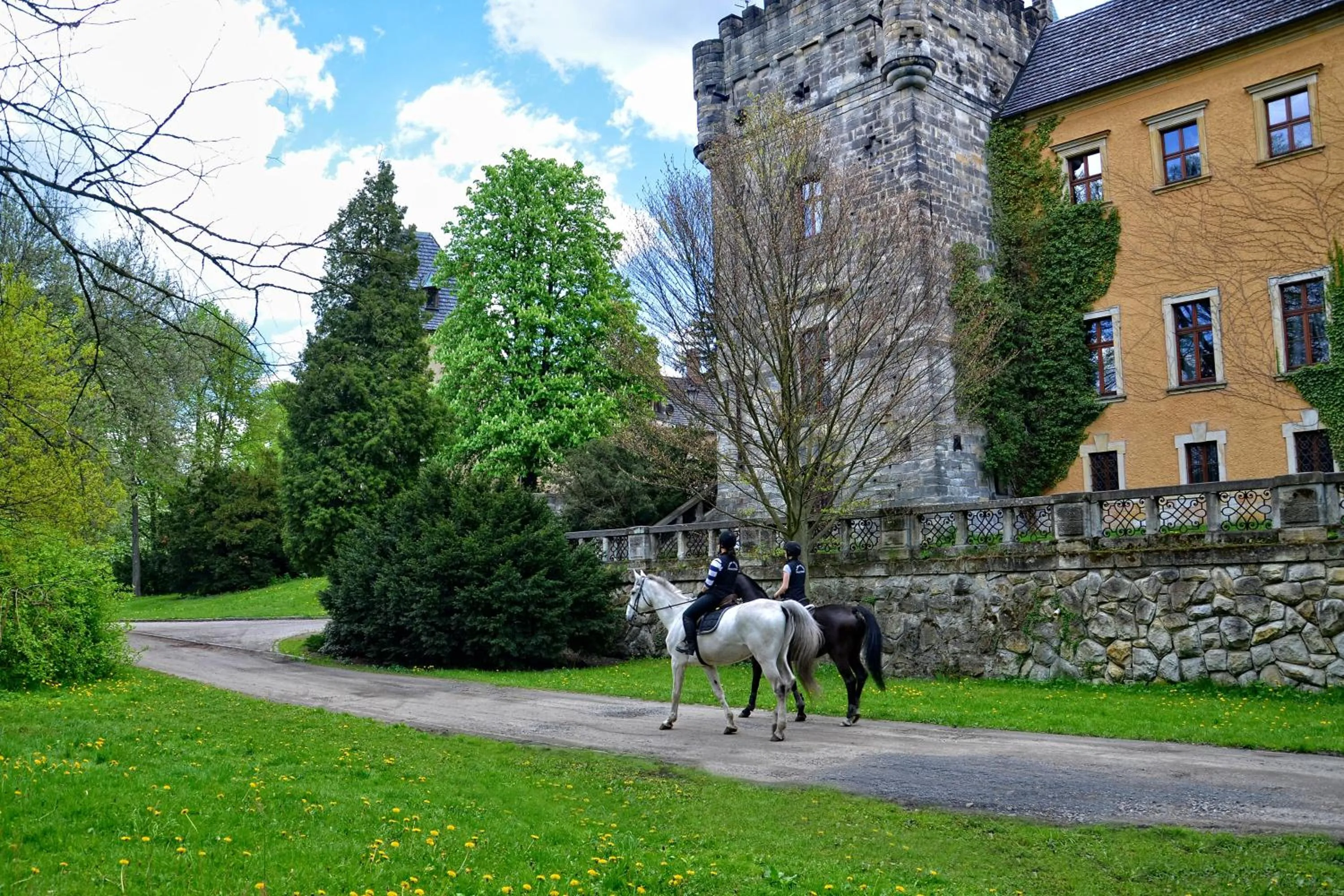 Garden in Zamek Kliczków