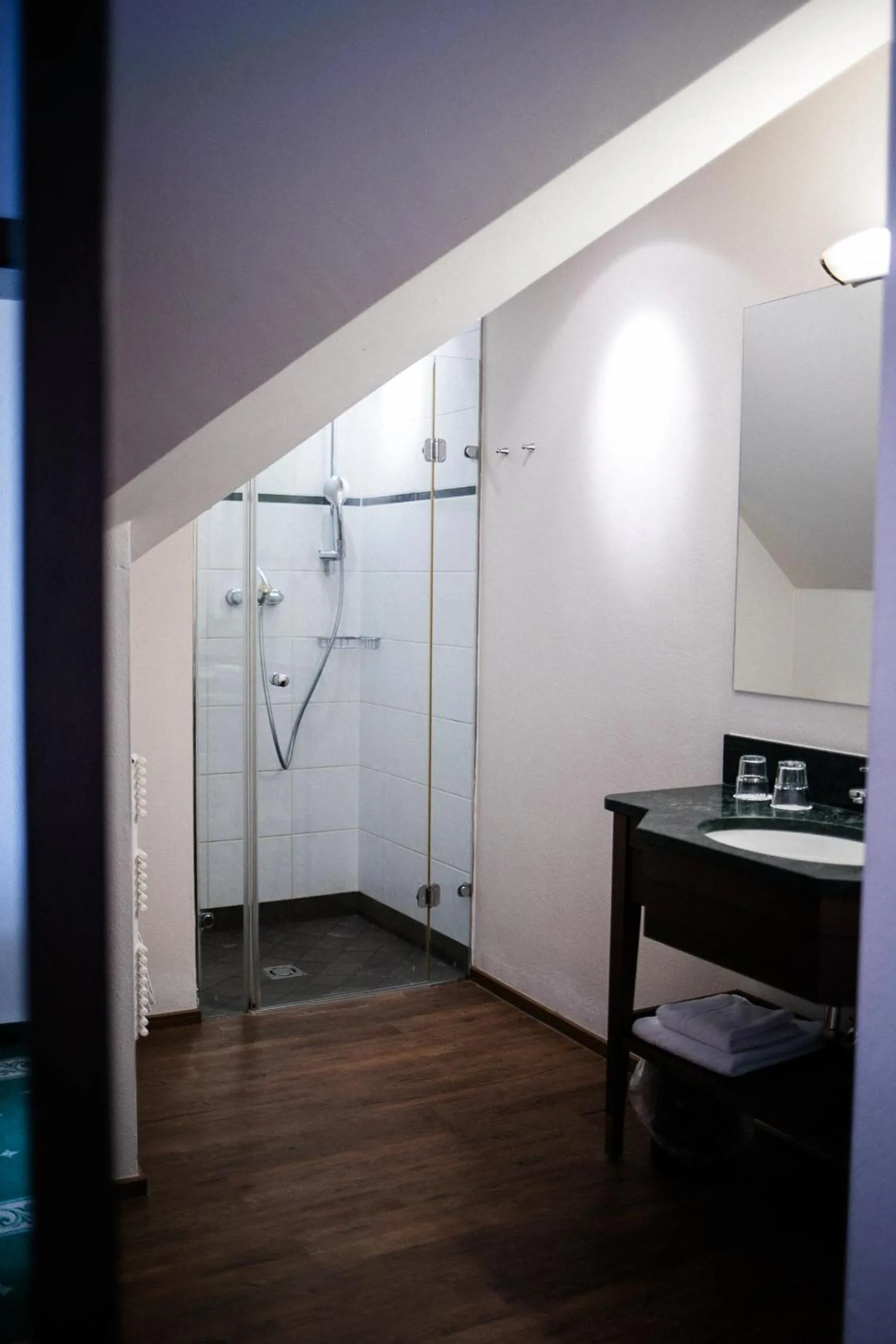 Toilet in Hotel Friesacher`s Aniferhof