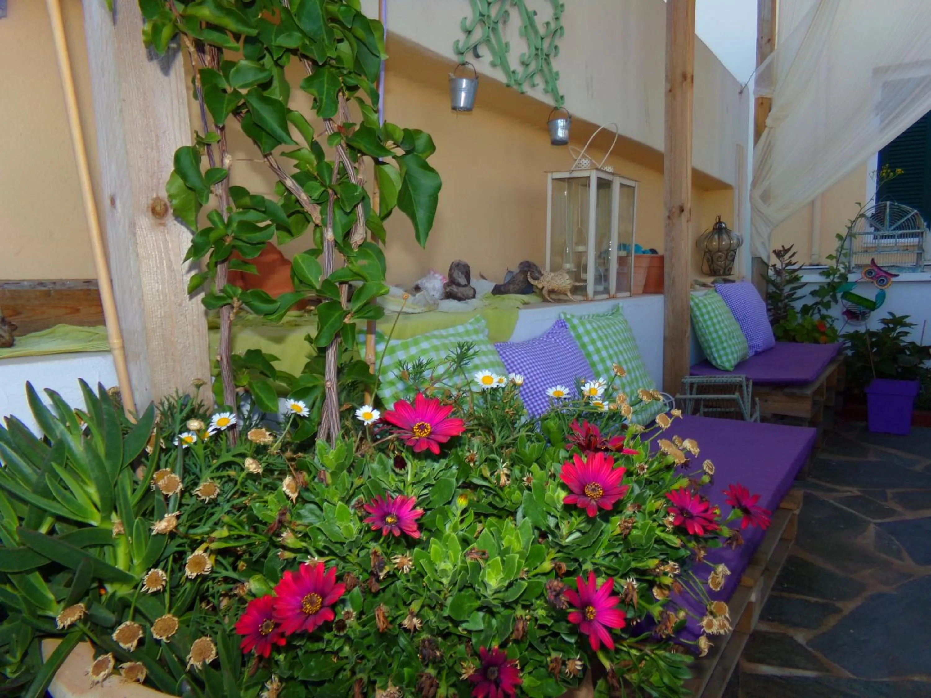 Seating area in Locadiera Pansion