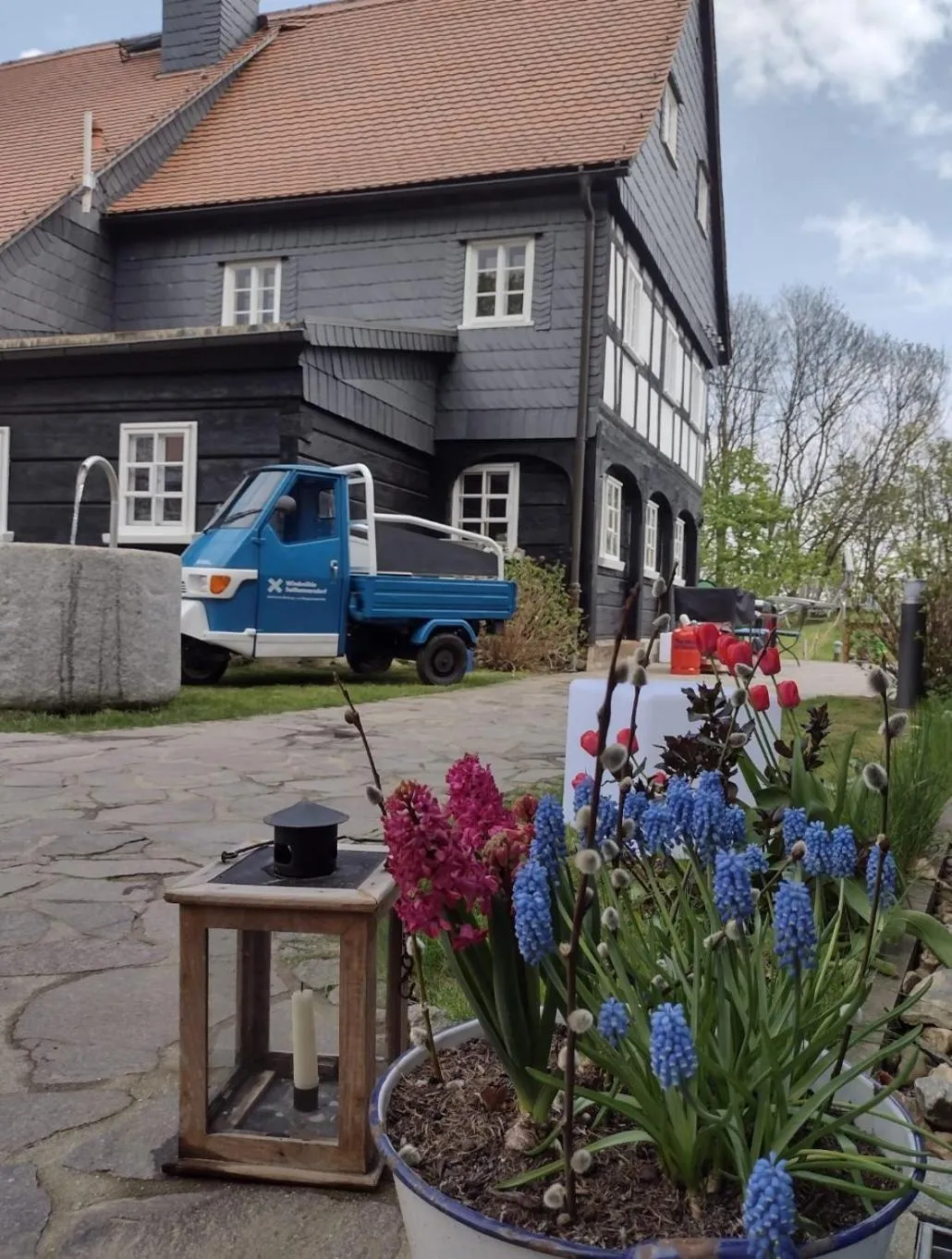 Property building in Sächsische Bildungs- und Begegnungsstätte Windmühle Seifhennersdorf