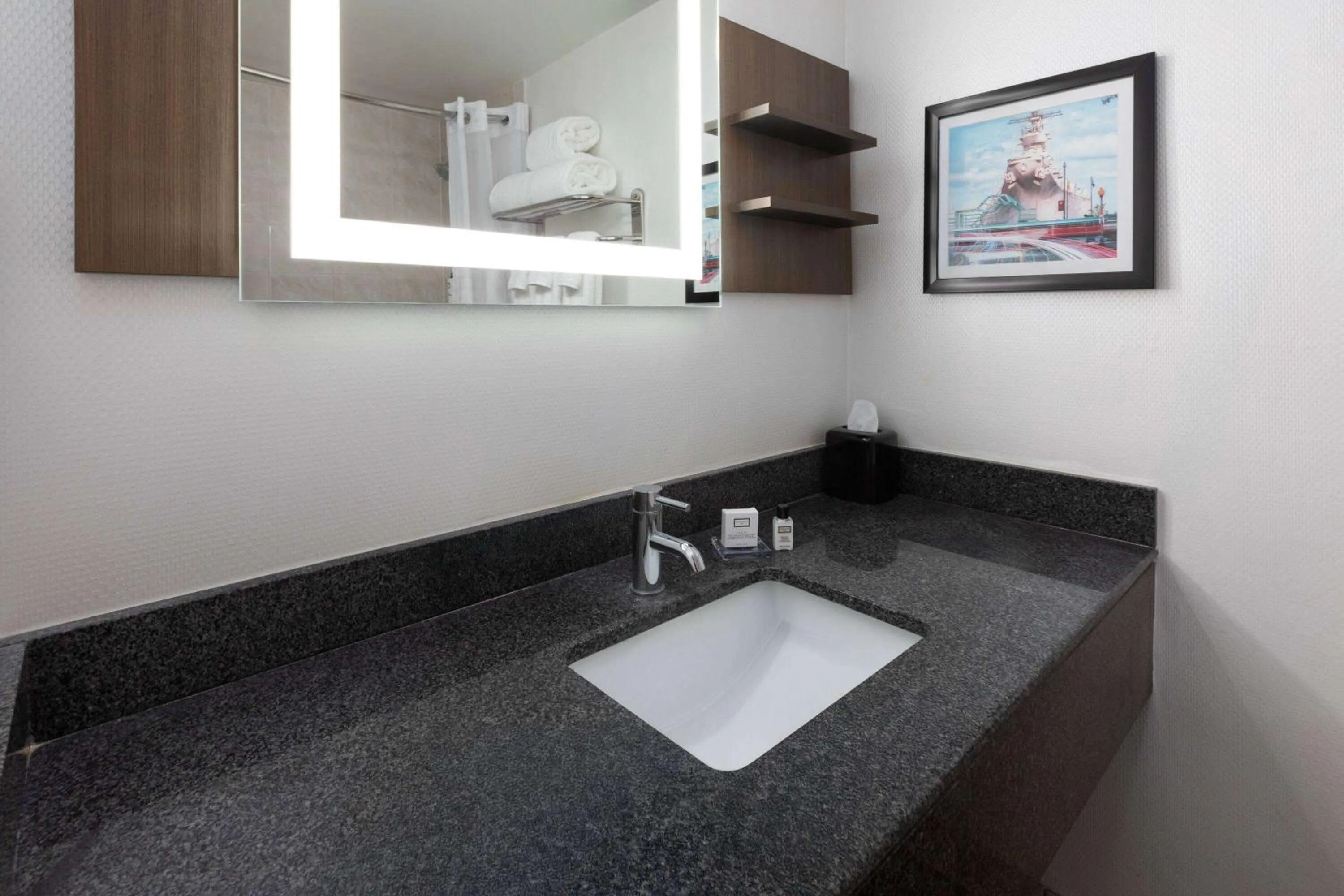 Bathroom in Wyndham Garden Norfolk Downtown