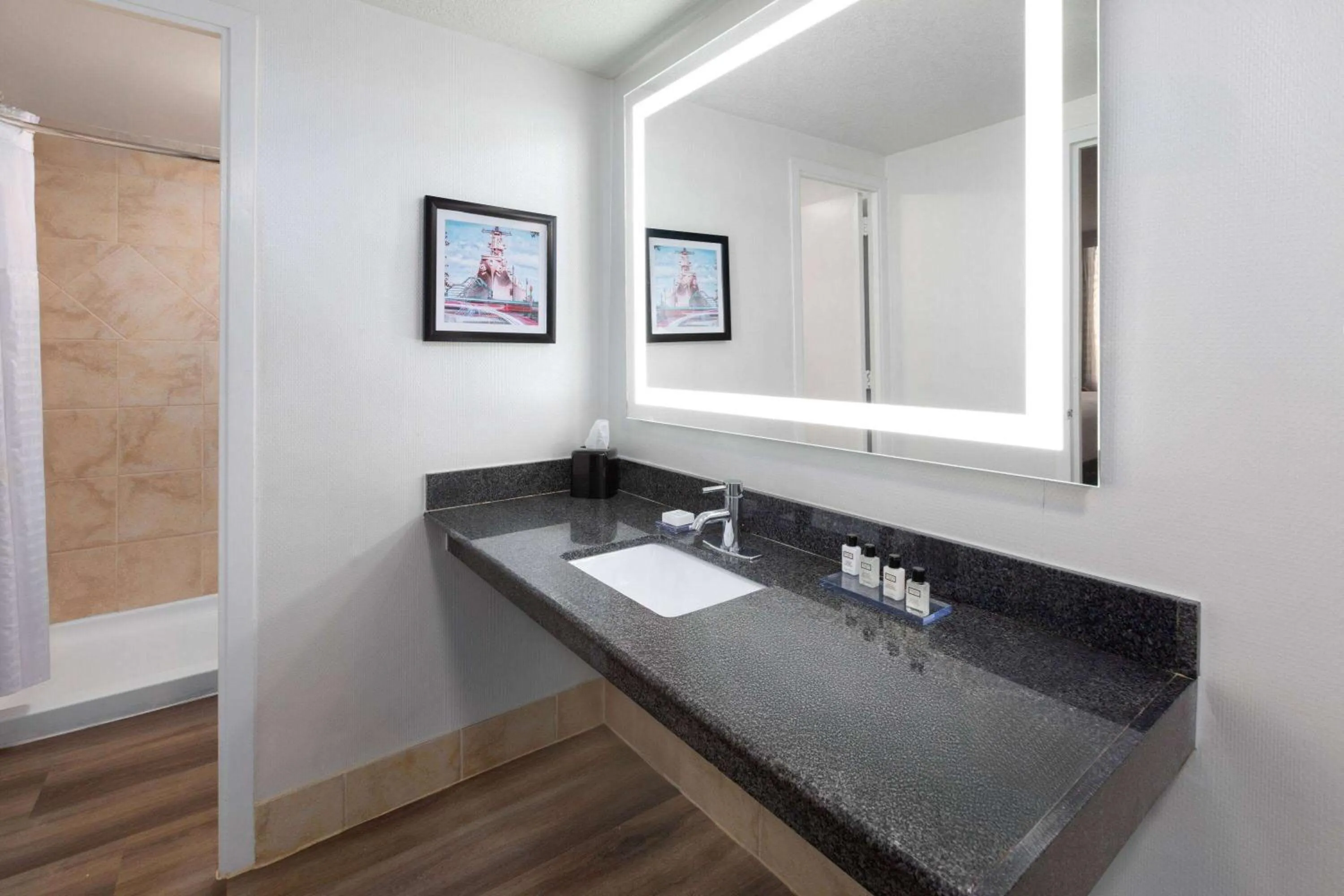 Bathroom in Wyndham Garden Norfolk Downtown