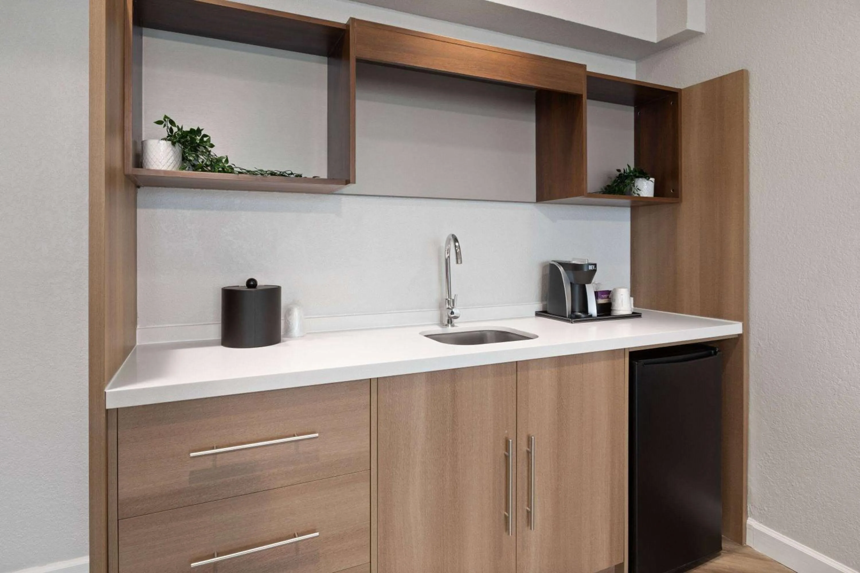 Photo of the whole room in Wyndham Garden Norfolk Downtown