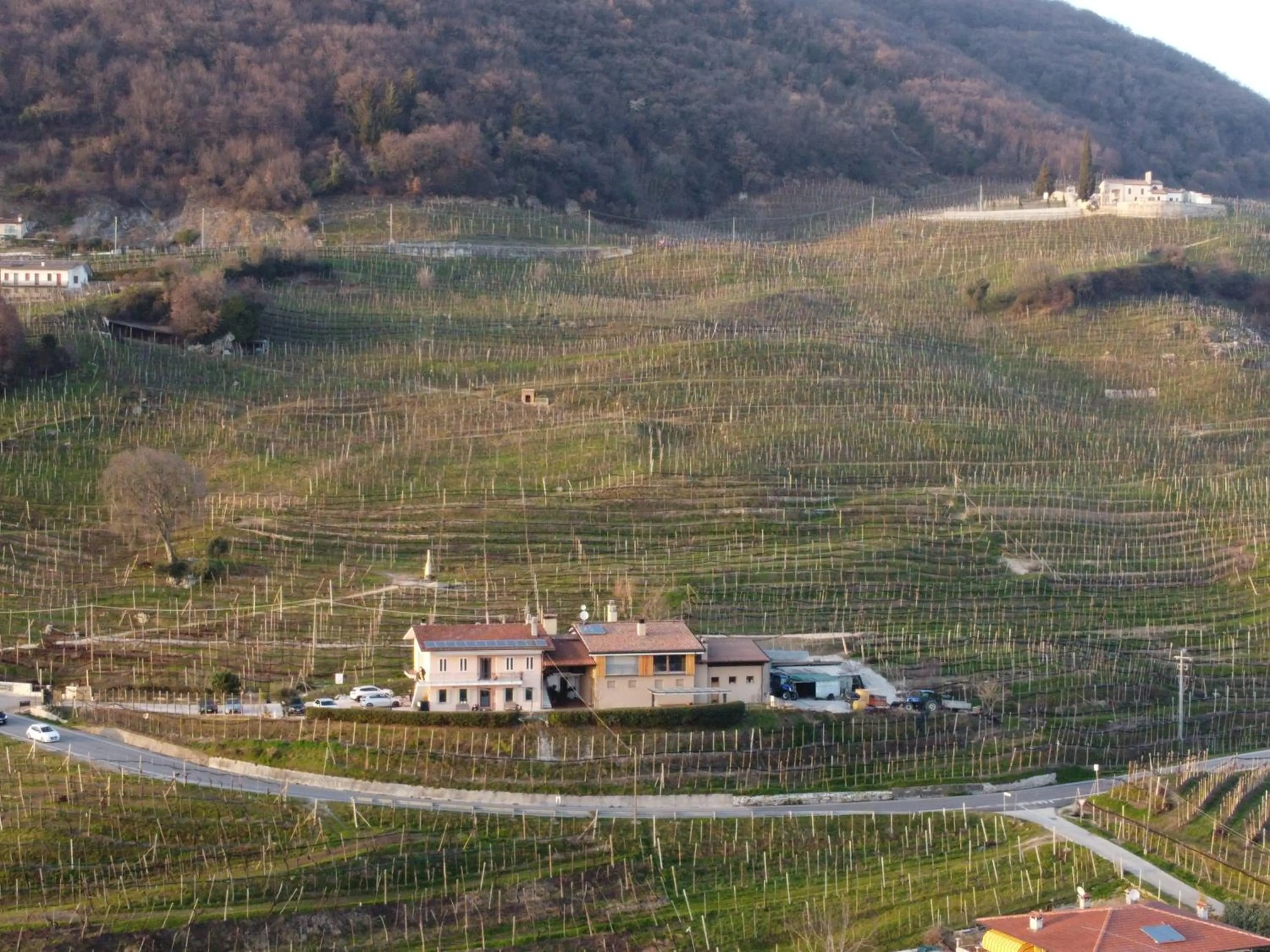 Property building in Agriturismo B&B Casa Bortolin