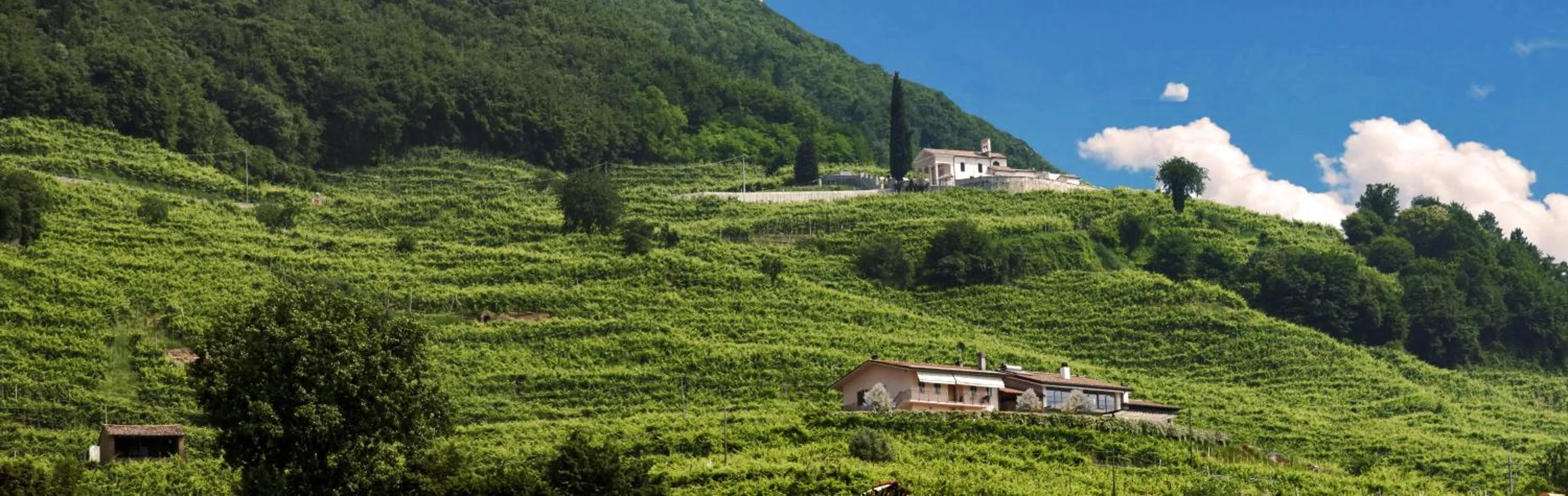 Agriturismo B&B Casa Bortolin