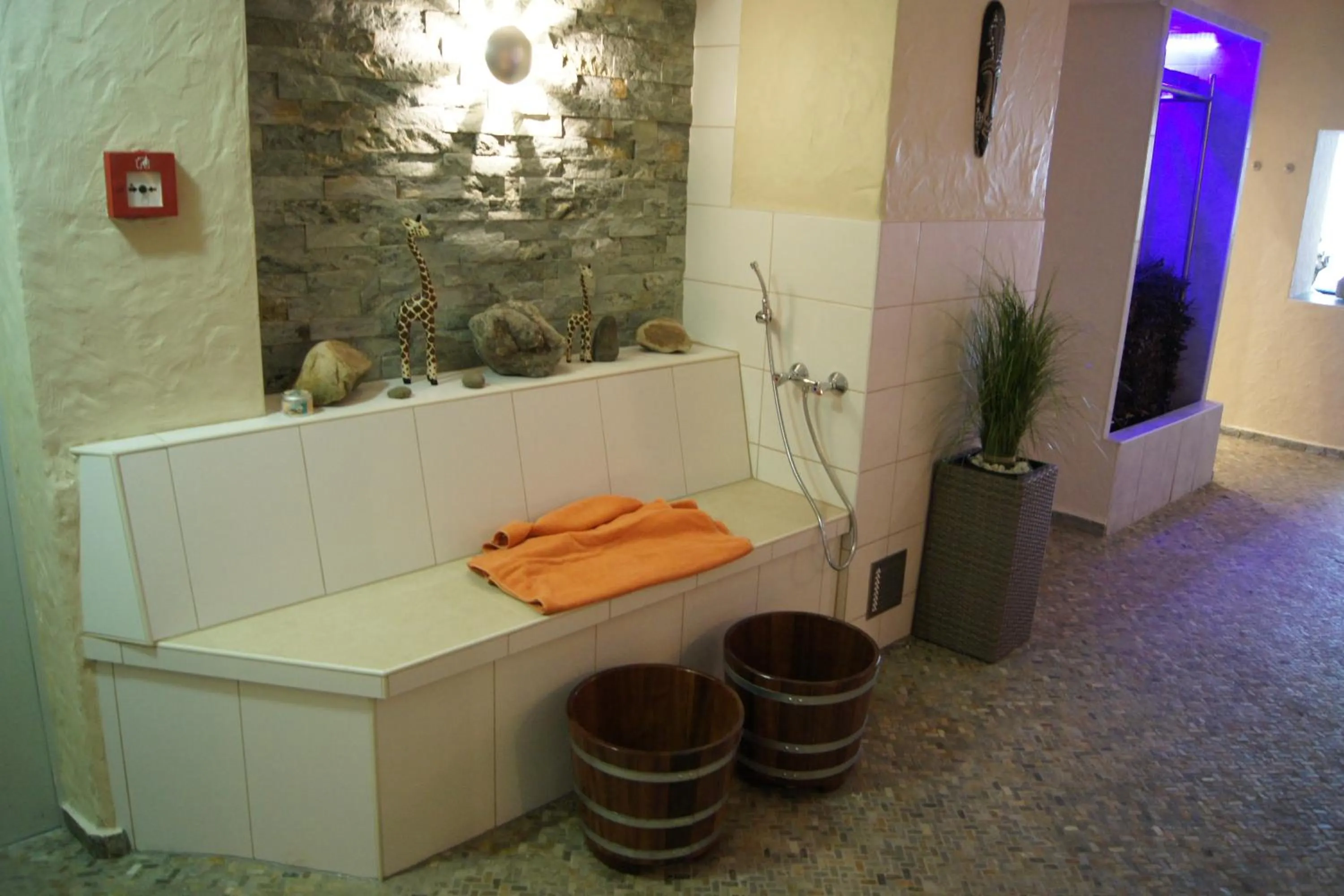 Spa and wellness centre/facilities in Hotel "Drei Rosen" OHG Regina & Hans - Peter Faßbinder