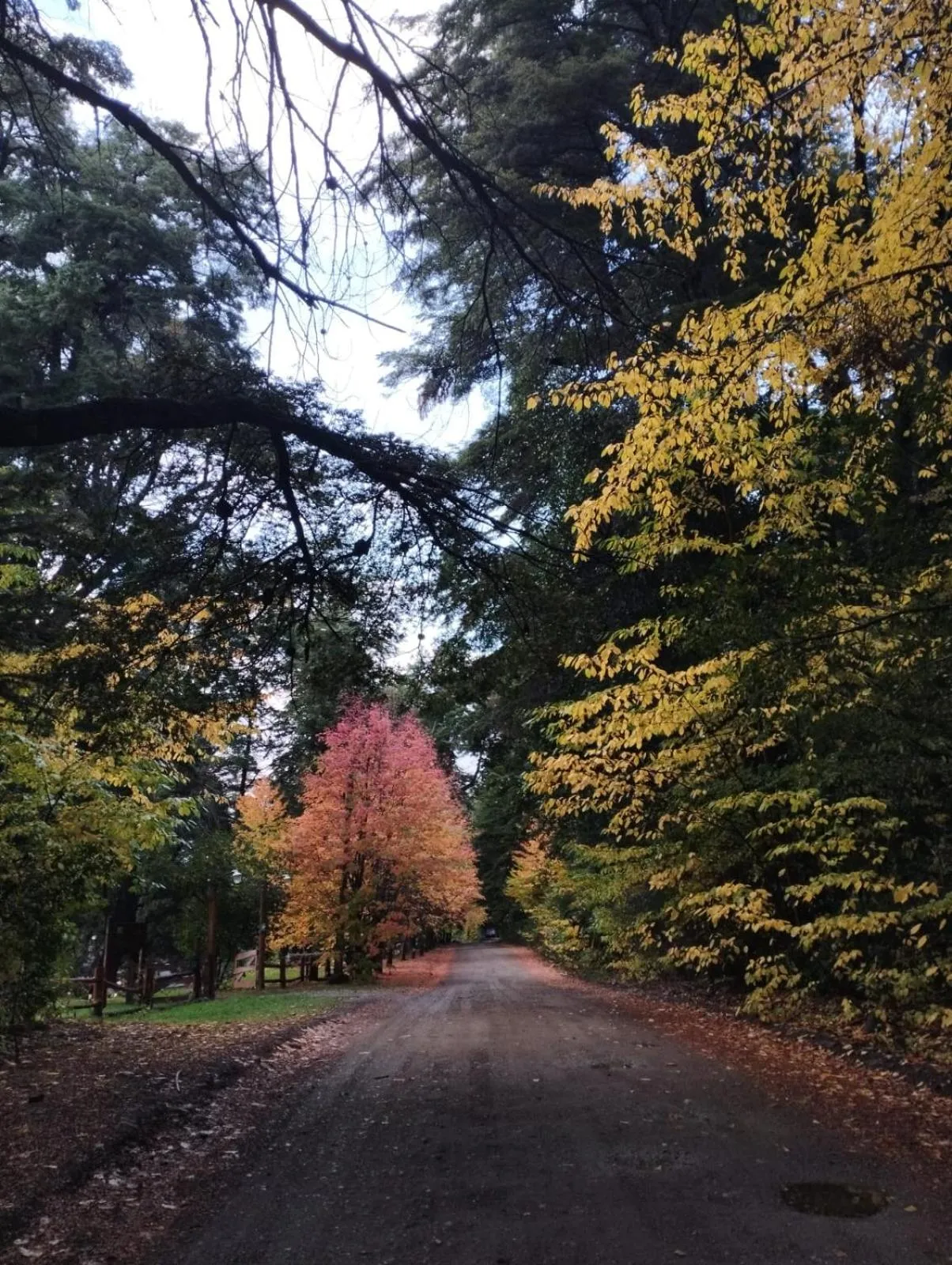 Facade/entrance in Hosteria El Condado