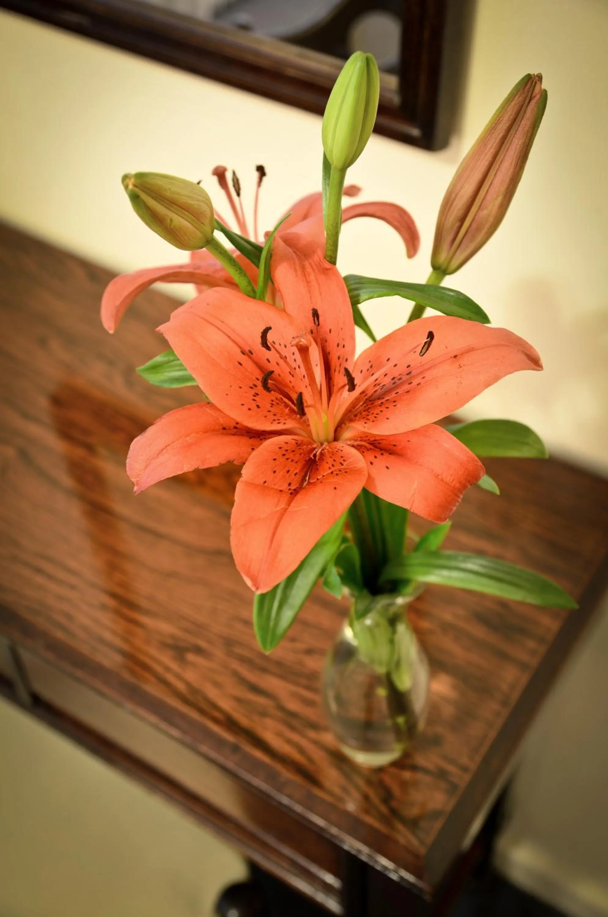 Other in Hotel Presidente