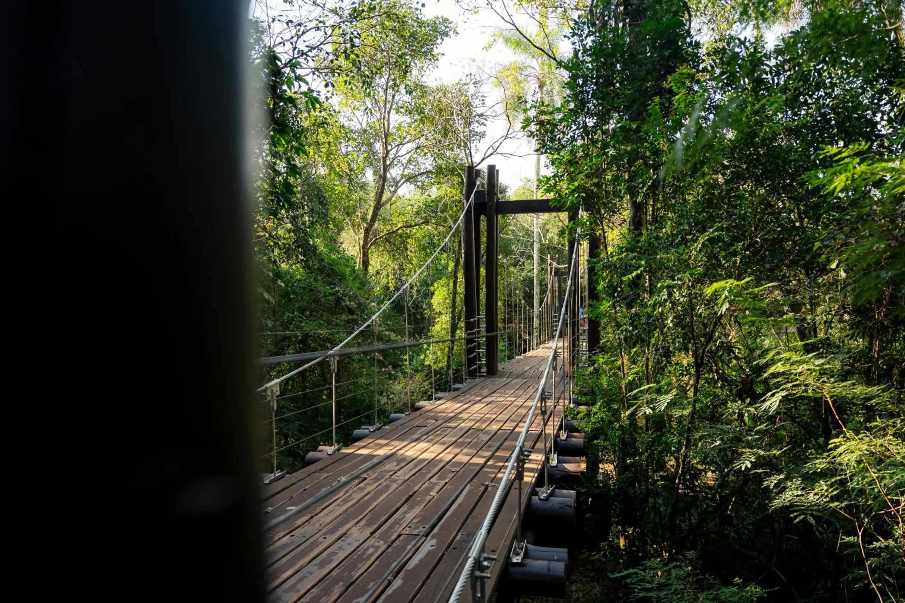 Natural landscape in Loi Suites Iguazu Hotel