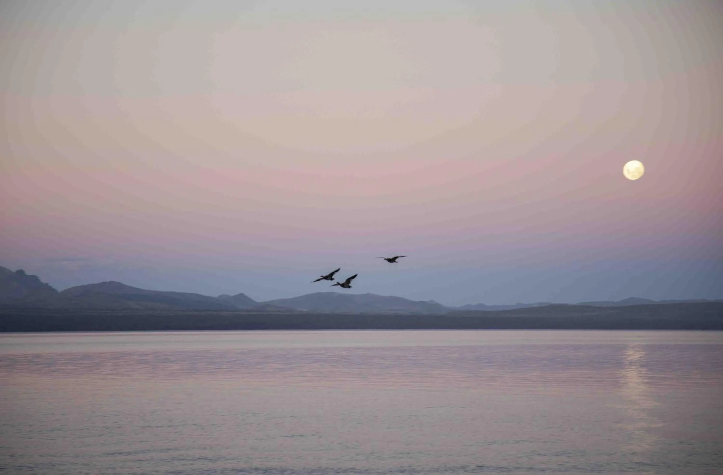 La Cascada Casa Patagónica by DON