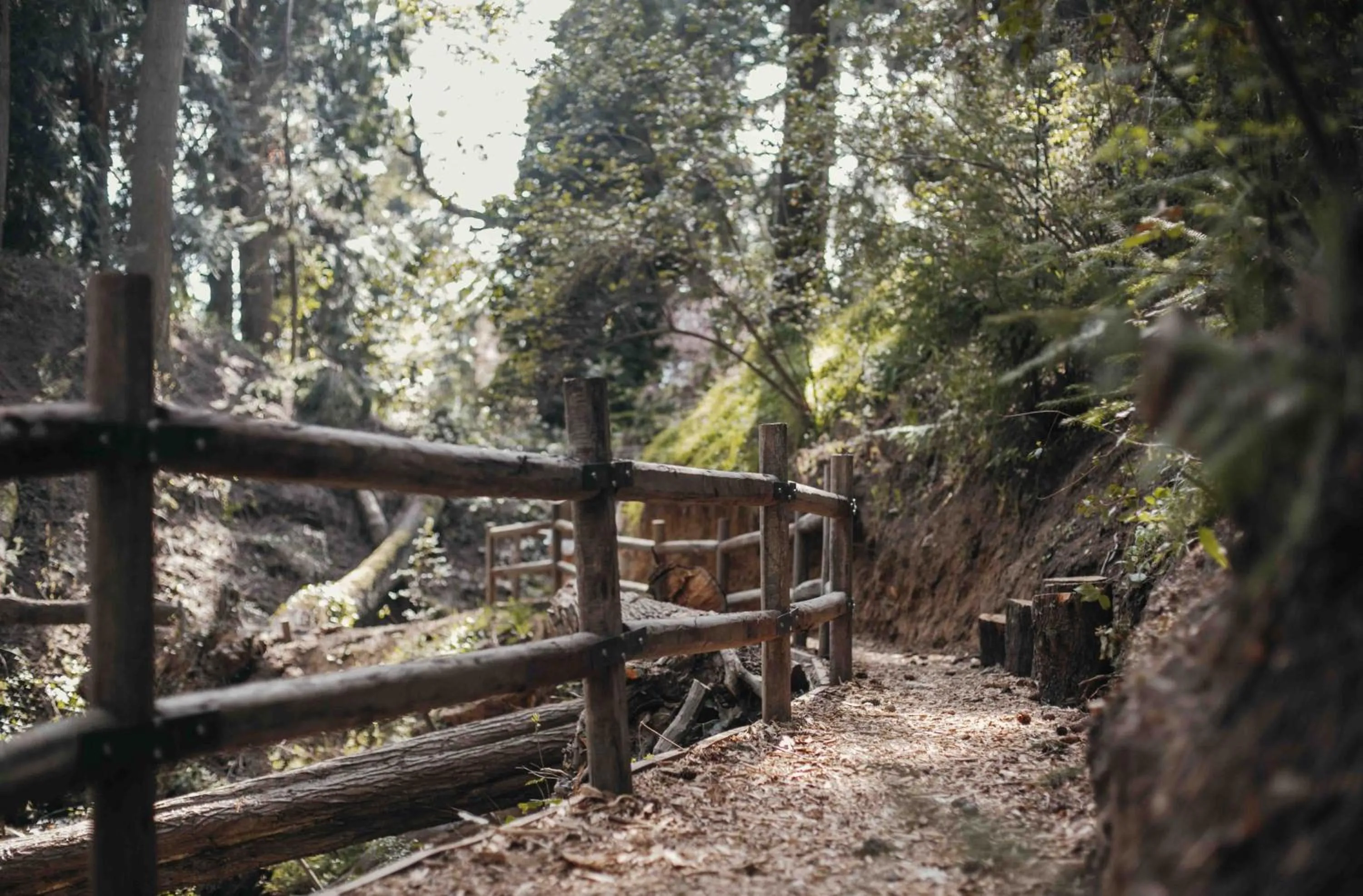 La Cascada Casa Patagónica by DON