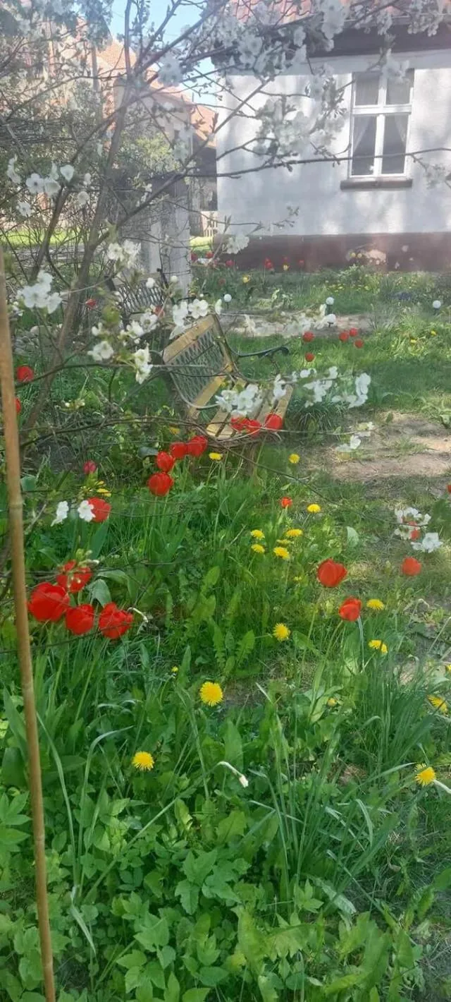 Property building in Dom na Mazurach Pilec