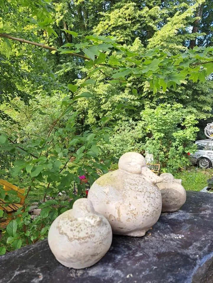 Spring in Dom na Mazurach Pilec