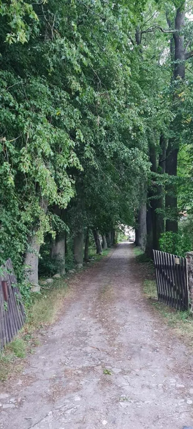 Spring in Dom na Mazurach Pilec