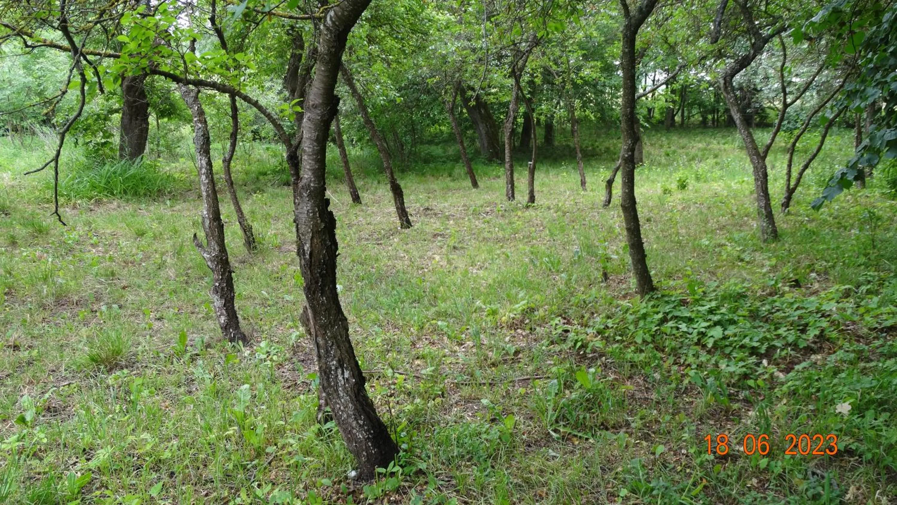 Spring in Dom na Mazurach Pilec