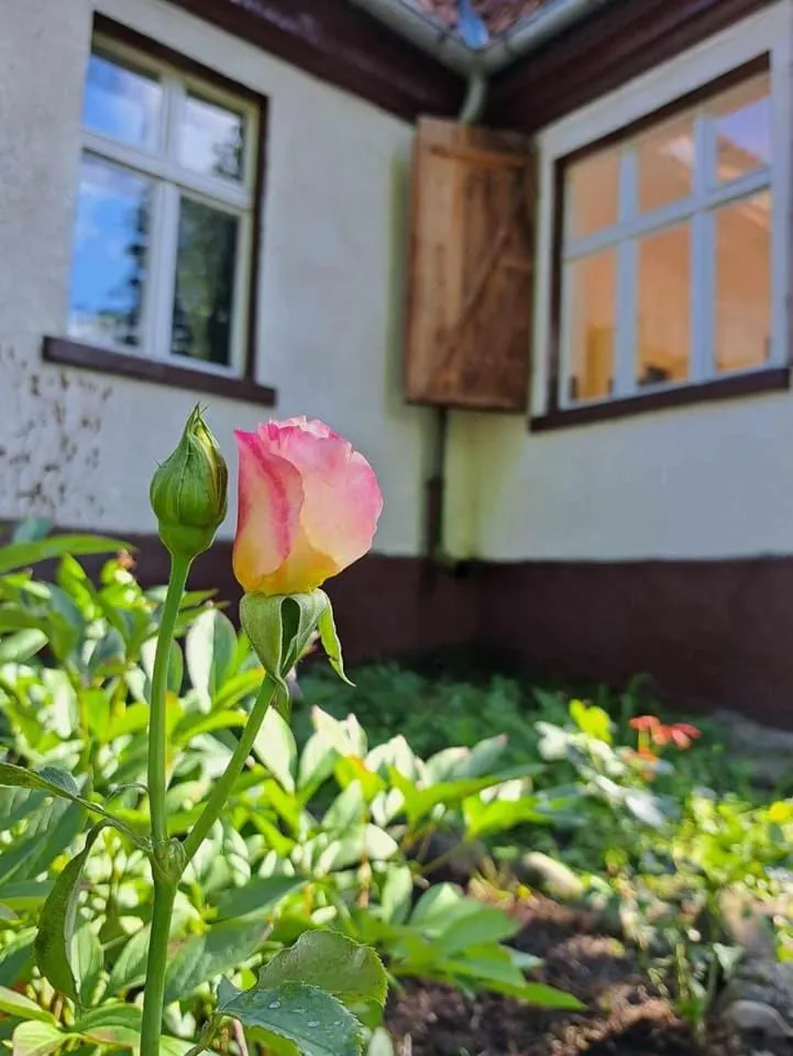 Property building in Dom na Mazurach Pilec