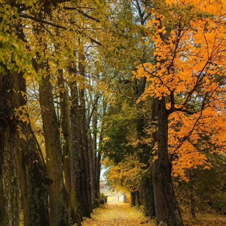 Property building in Dom na Mazurach Pilec