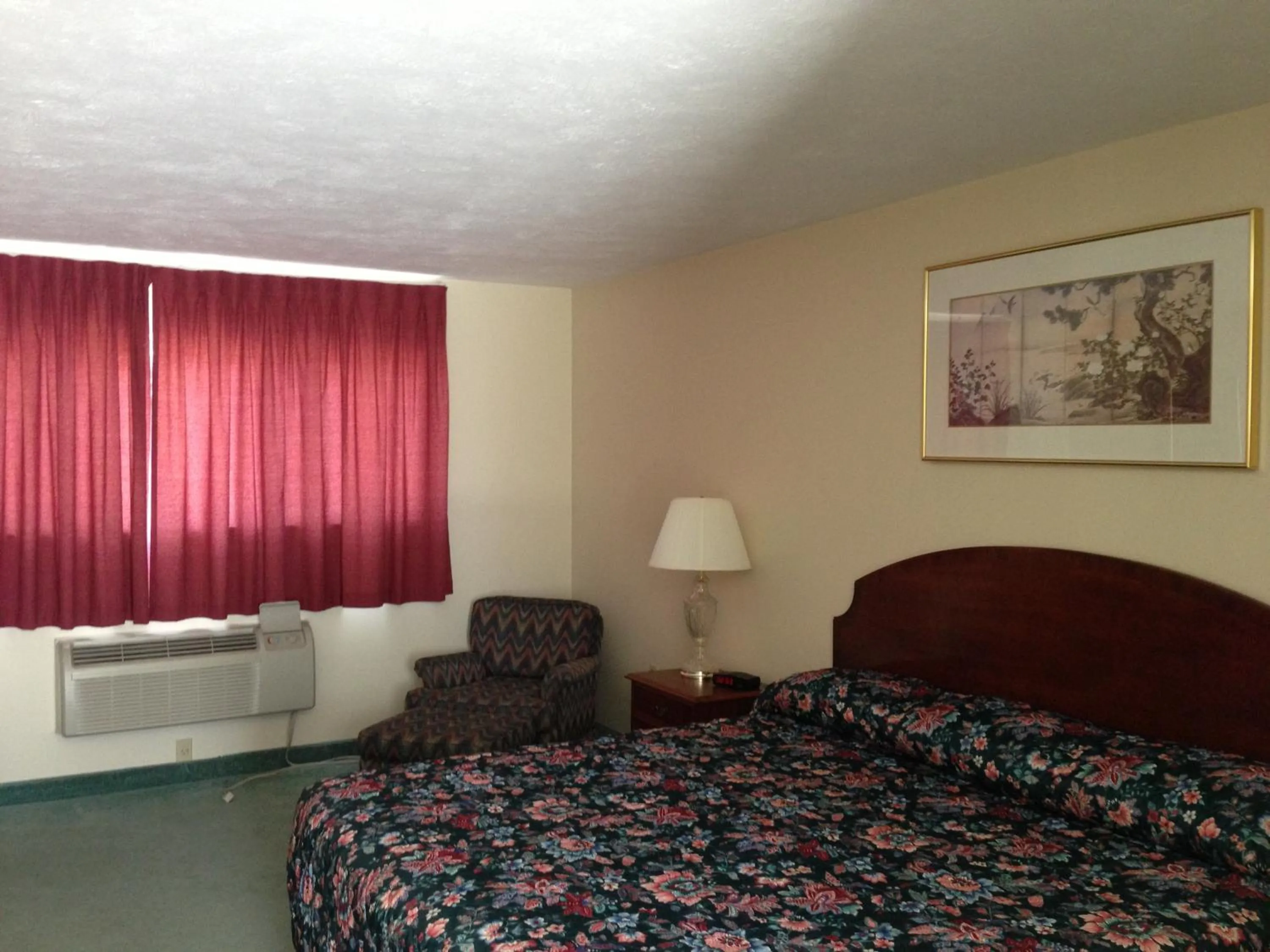 Photo of the whole room, Bed in The Falls Motel