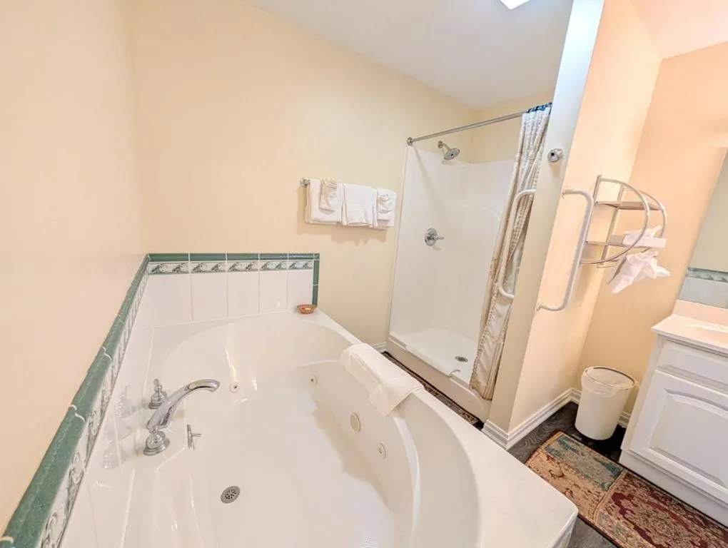 Bathroom in The Falls Motel - 2 Mi to " Watkins Glen State Park, Seneca Lake " AND 4 Mi to Watkins Glen International Track " The Glen "