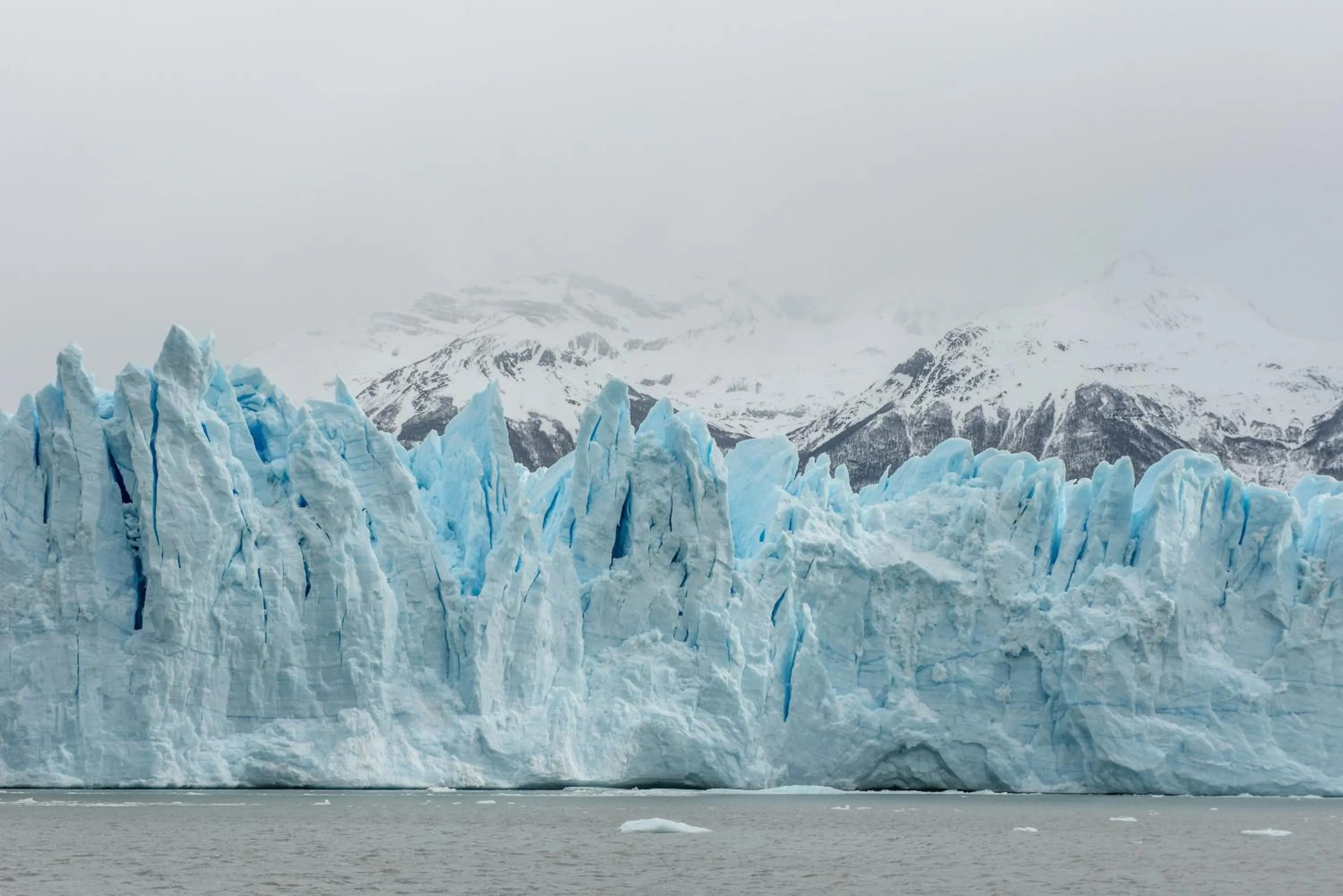 Natural landscape in Calafate Parque Hotel