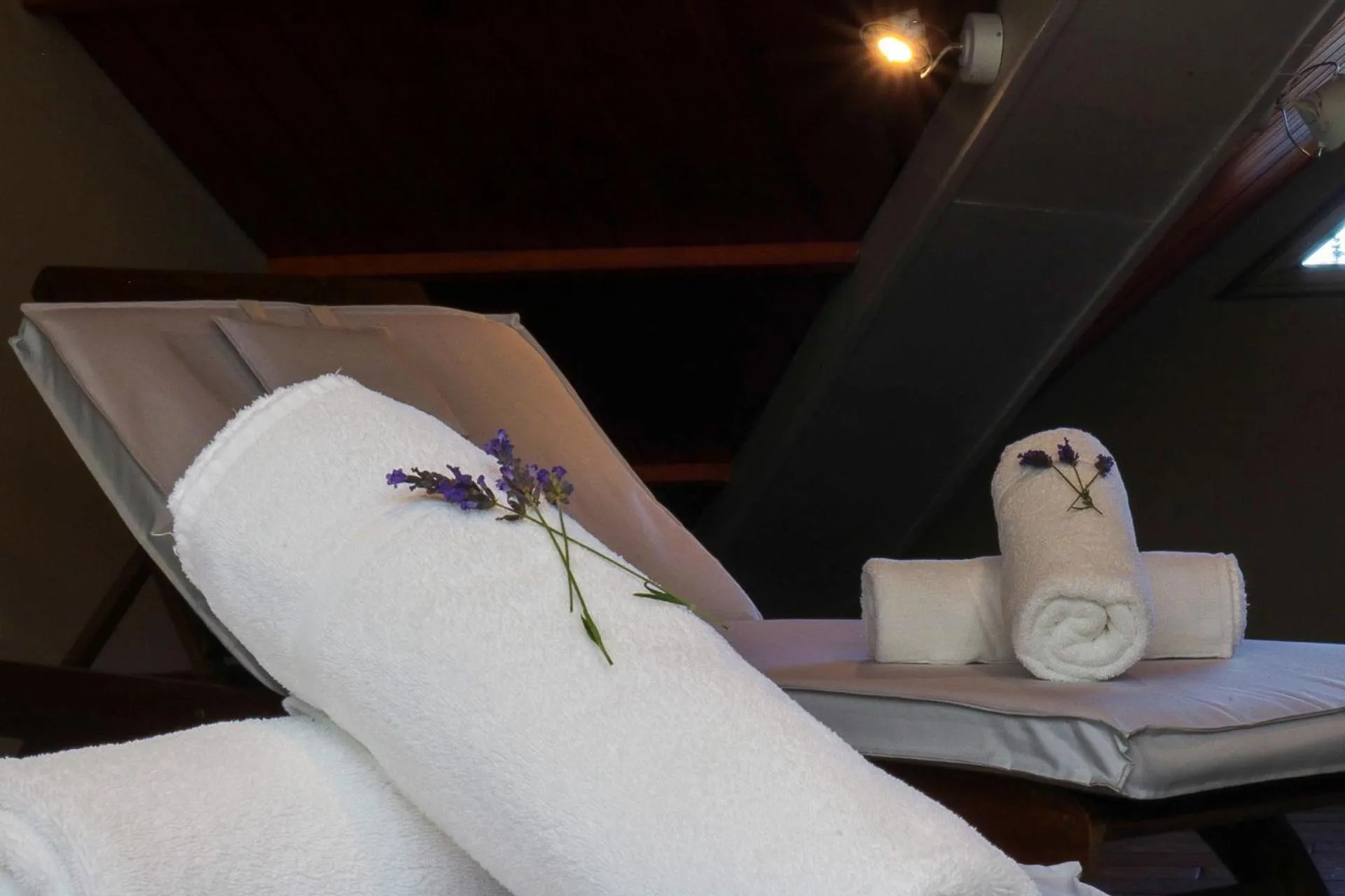 Spa and wellness centre/facilities in Calafate Parque Hotel