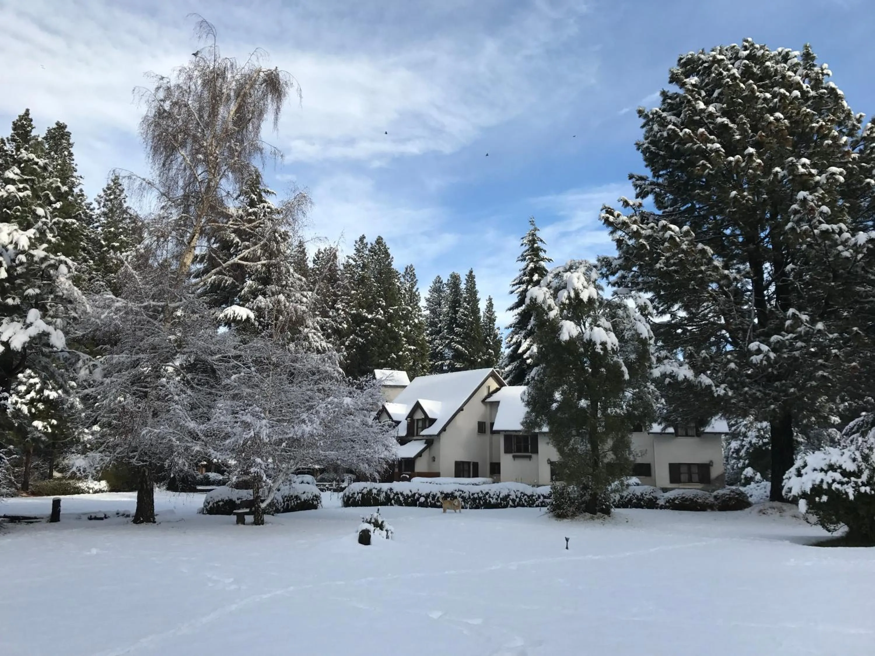 Winter in Posada del Angel