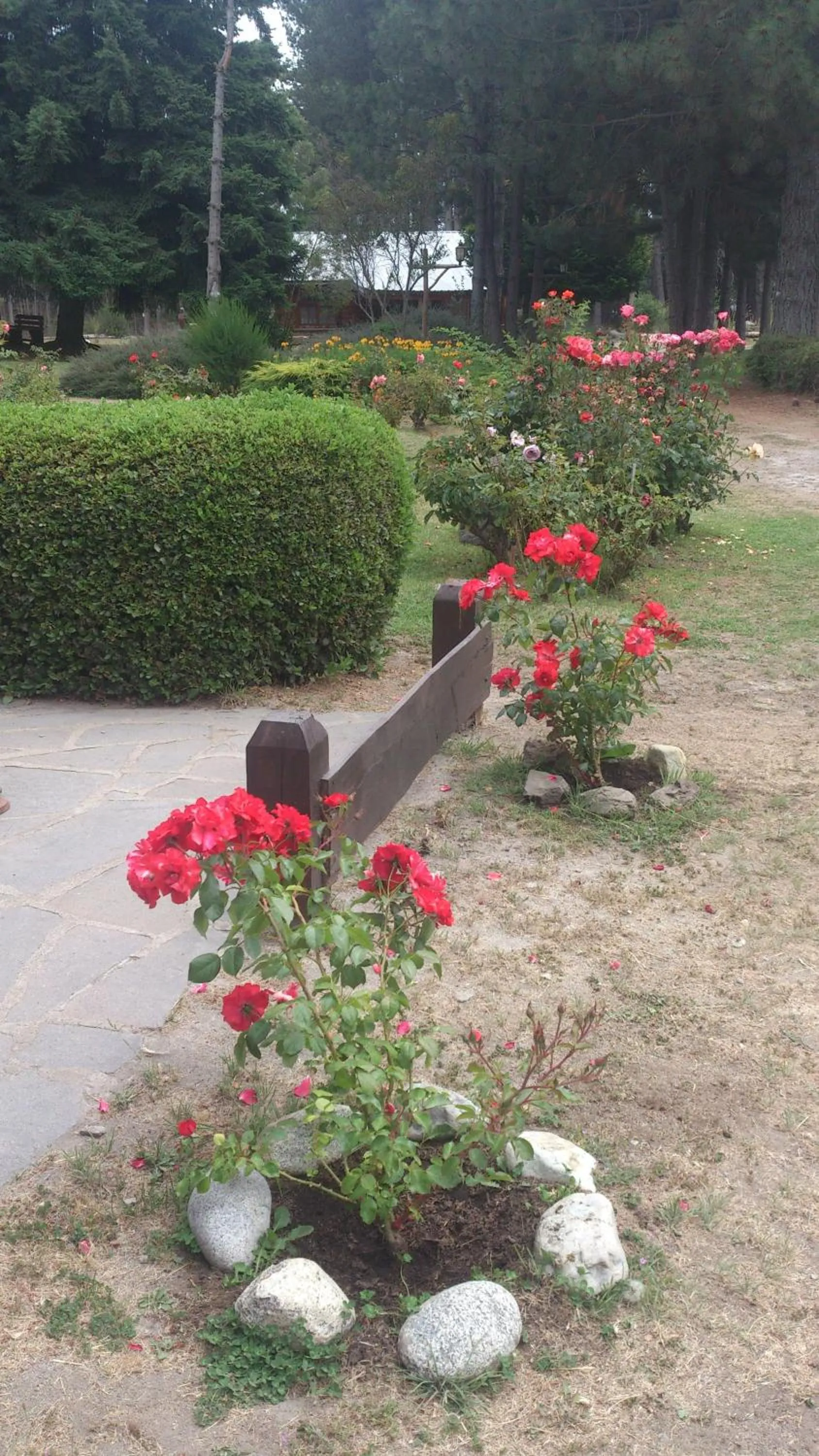 Property building in Posada del Angel