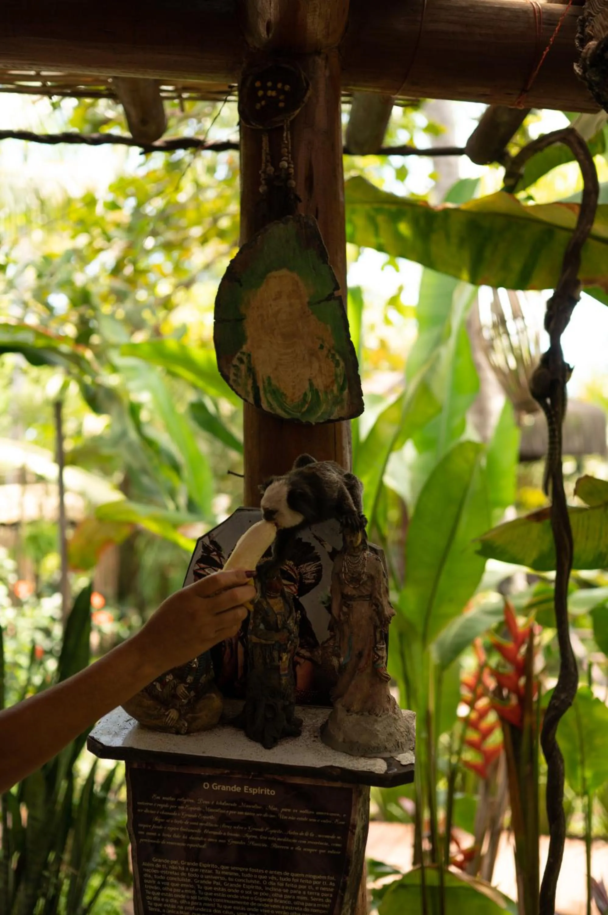 Natural landscape in Pousada Nativa