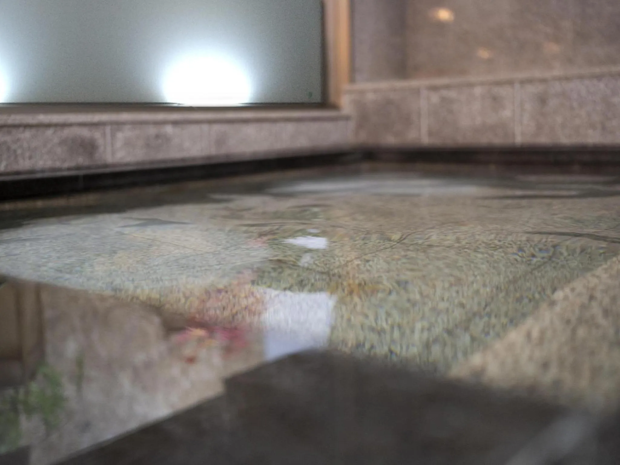 Bathroom in Hotel New Gaea Iizuka