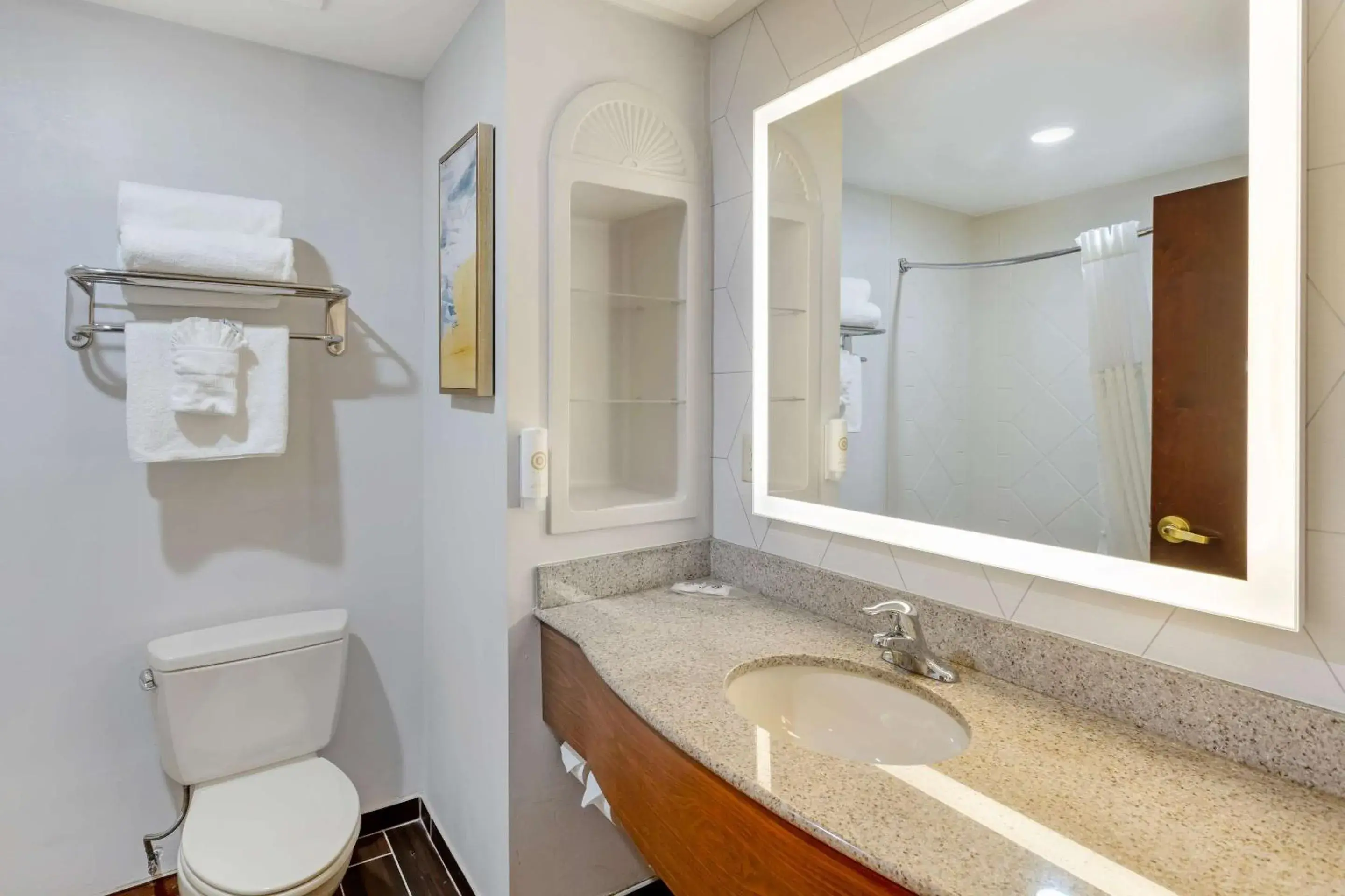 King Room - Non Smoking in Comfort Suites East Brunswick - South River King Room - Non Smoking in Comfort Suites East Brunswick - South River