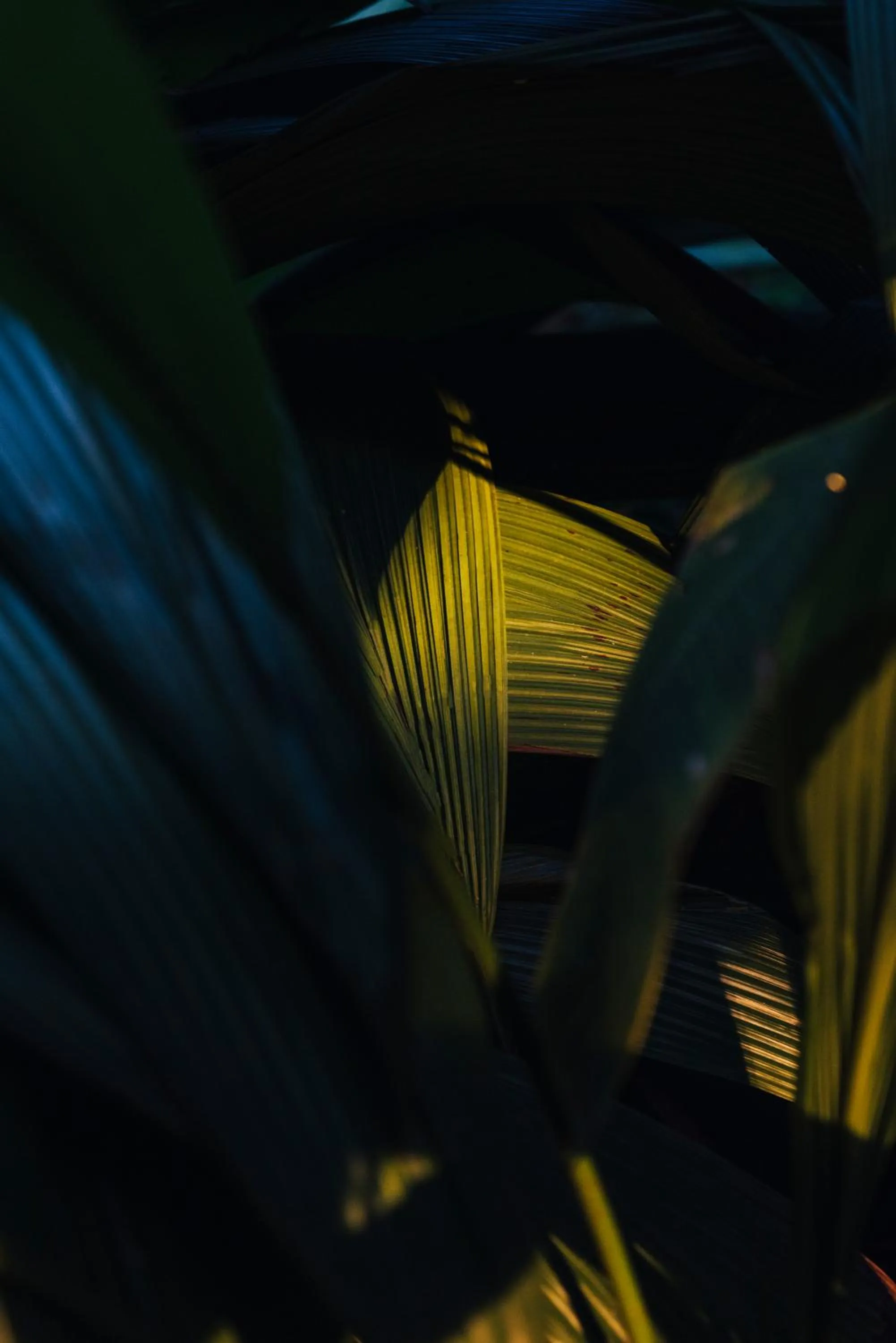 Facade/entrance in Villa Republic Bandarawela (04 bedroom)