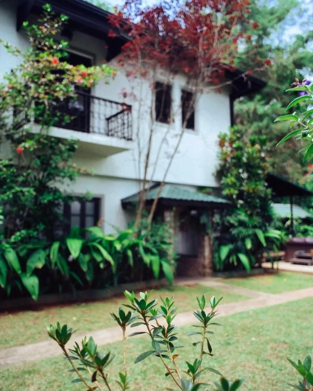 Garden in Villa Republic Bandarawela (04 bedroom)