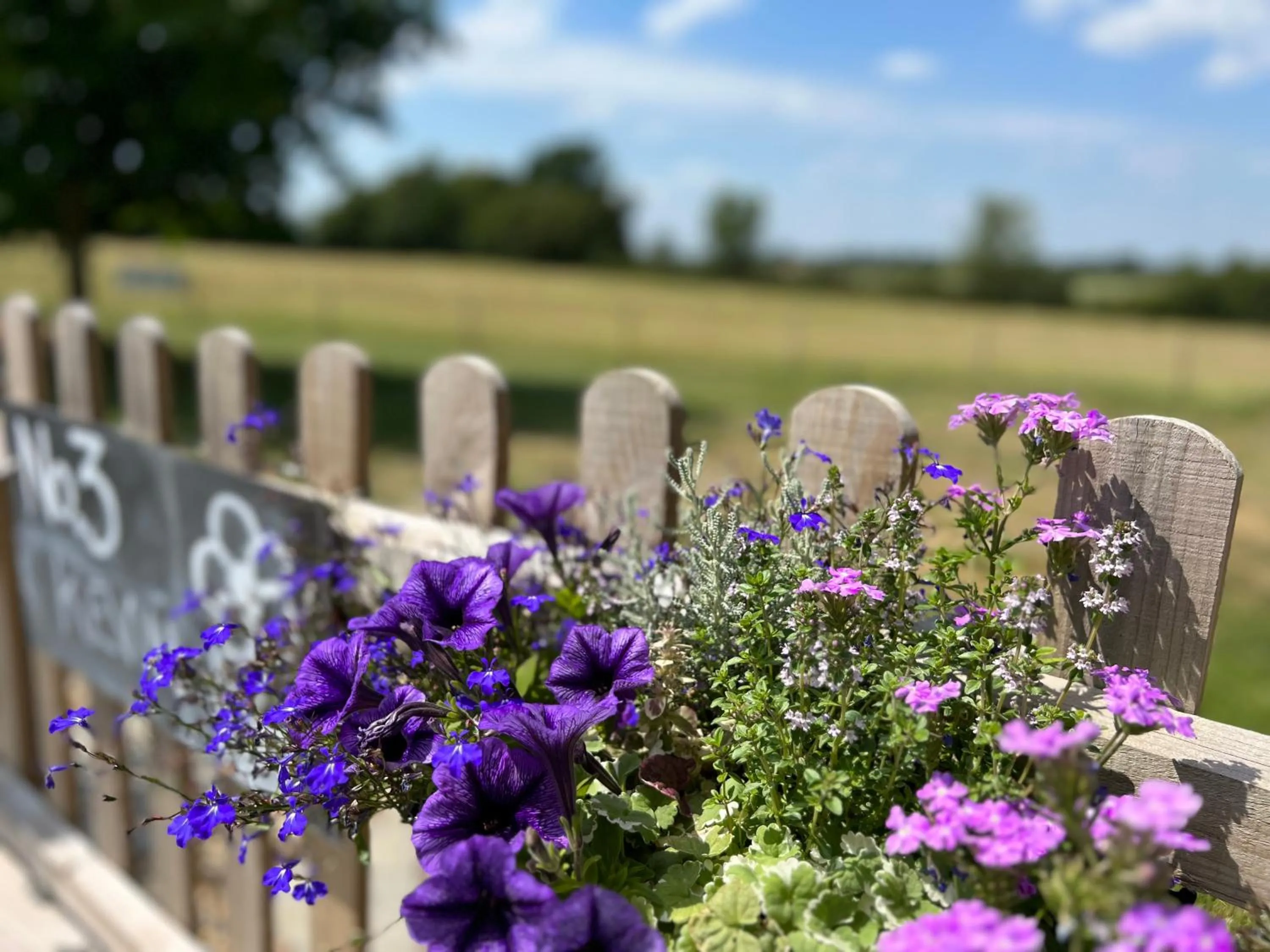Great Sampford B&B Sorrells farm