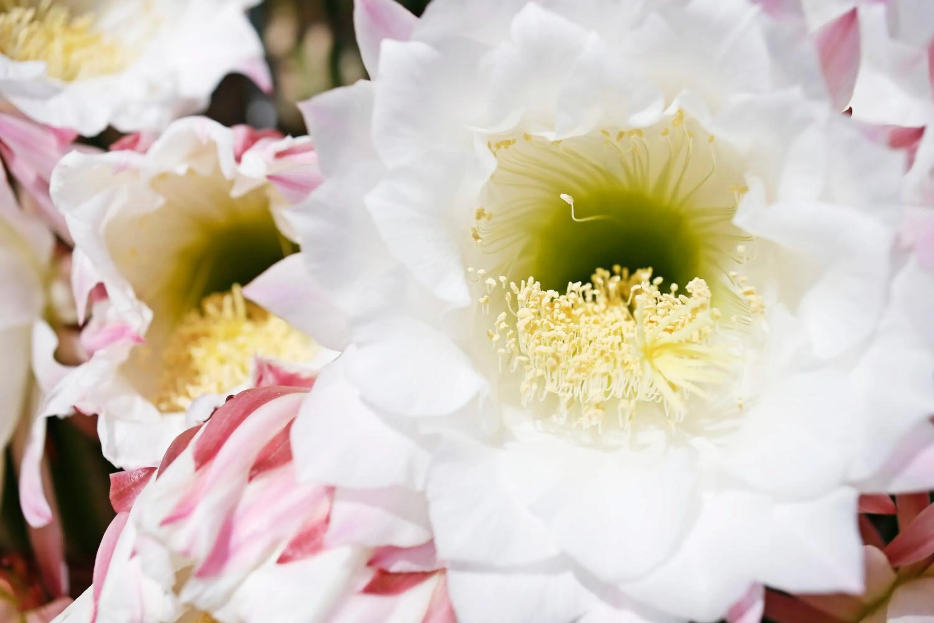 View (from property/room) in Foglie D' Acqua
