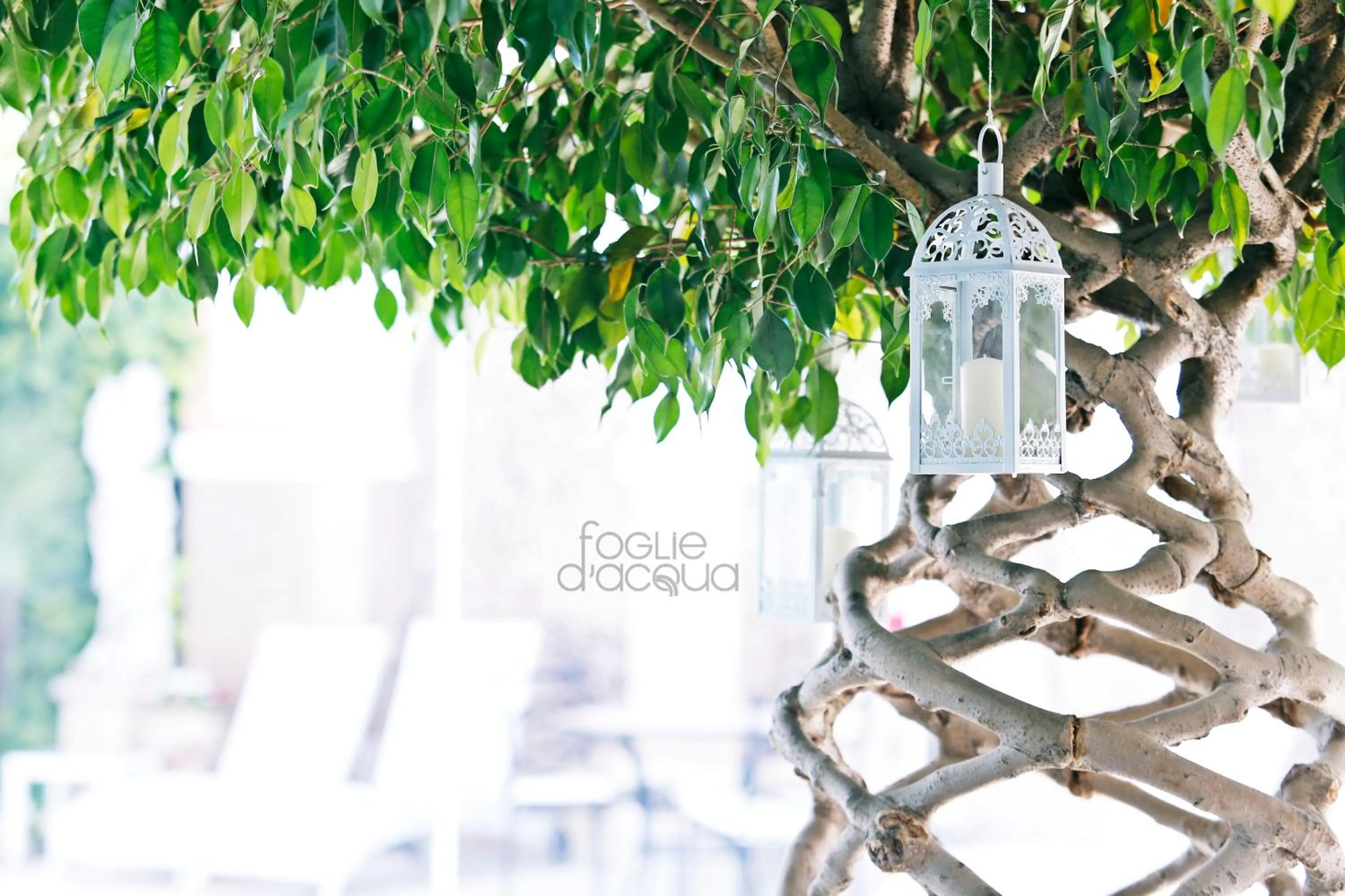 Garden view in Foglie D' Acqua