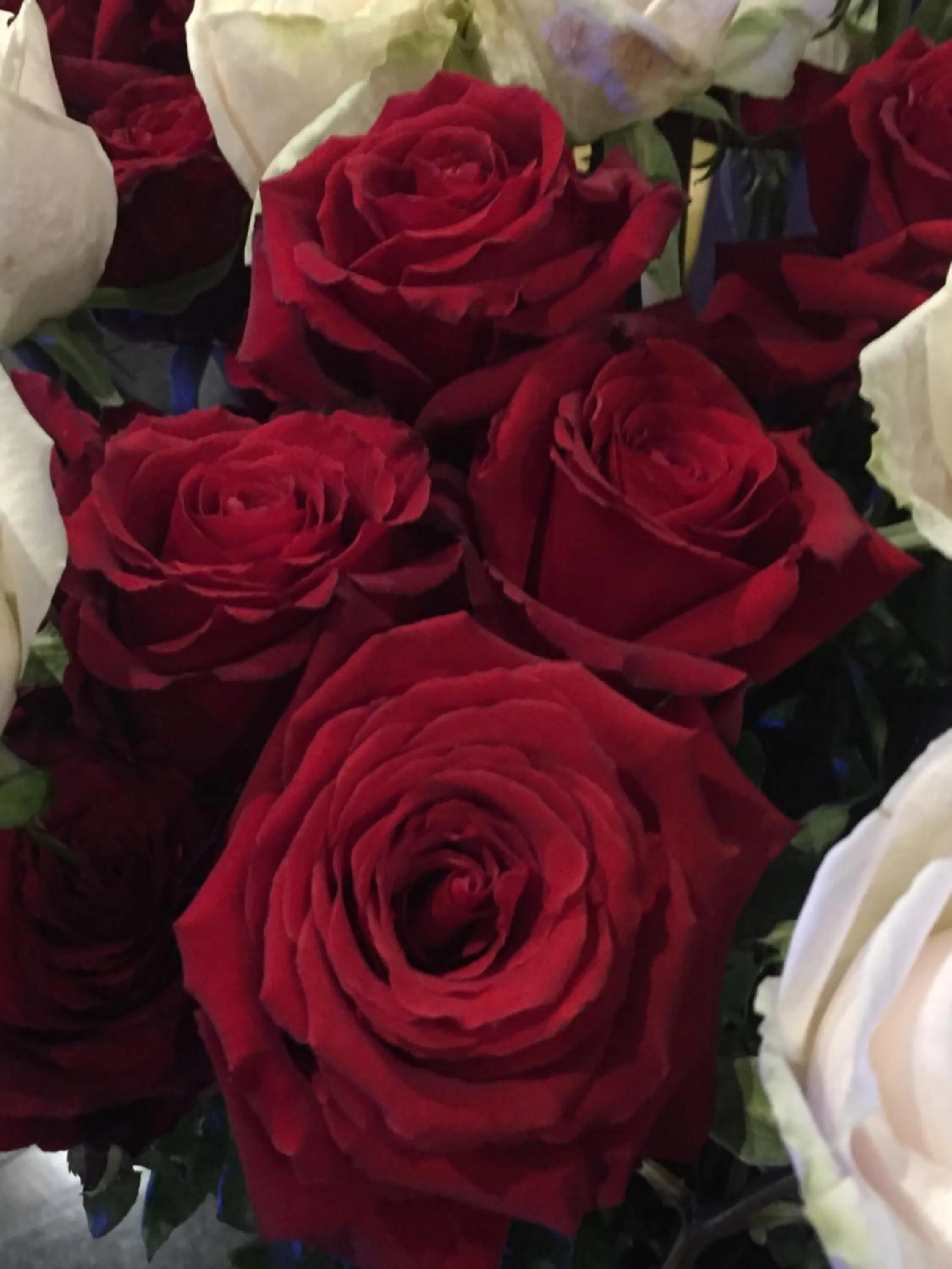 Spring in Foglie D' Acqua