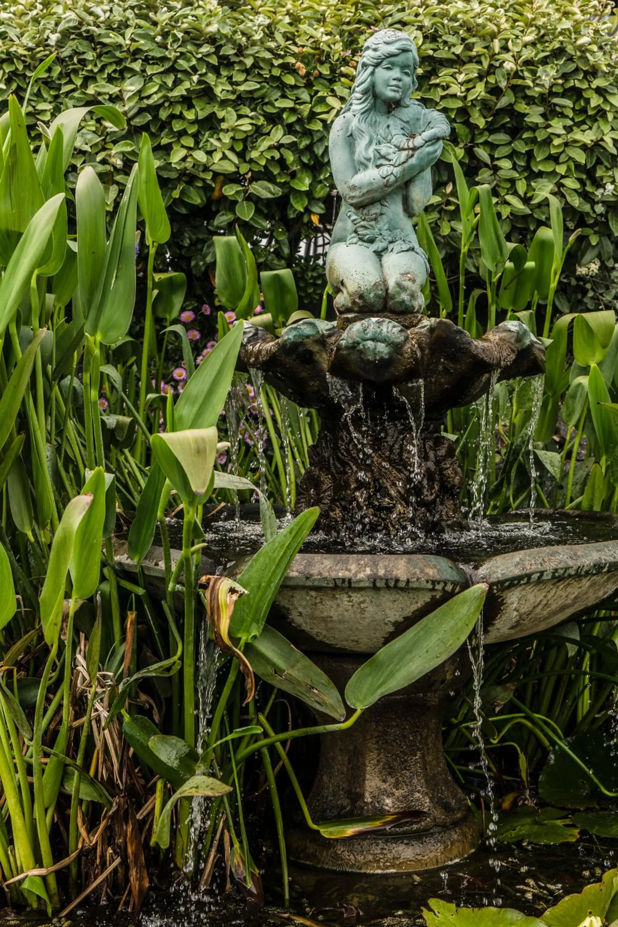 Garden in The Bay Hotel