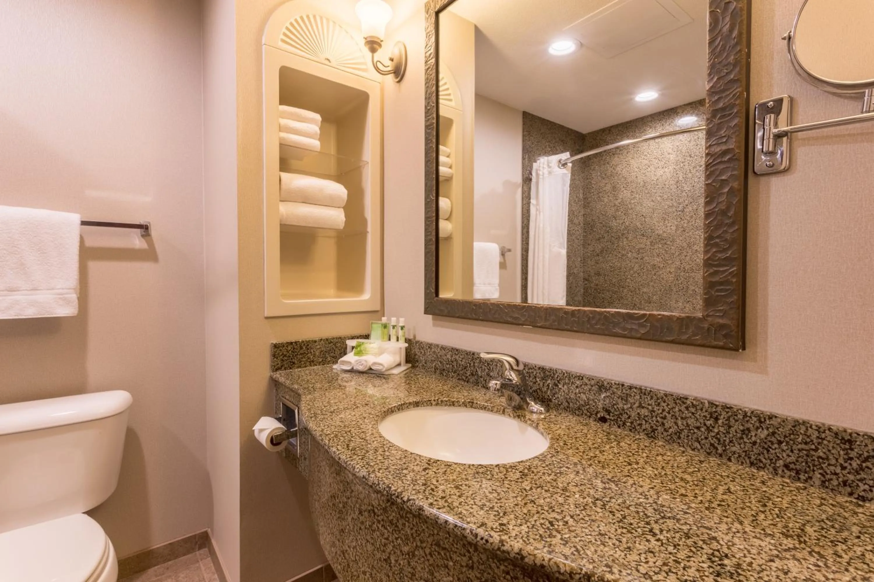 Bathroom in Holiday Inn Express Hotel & Suites Manteca by IHG