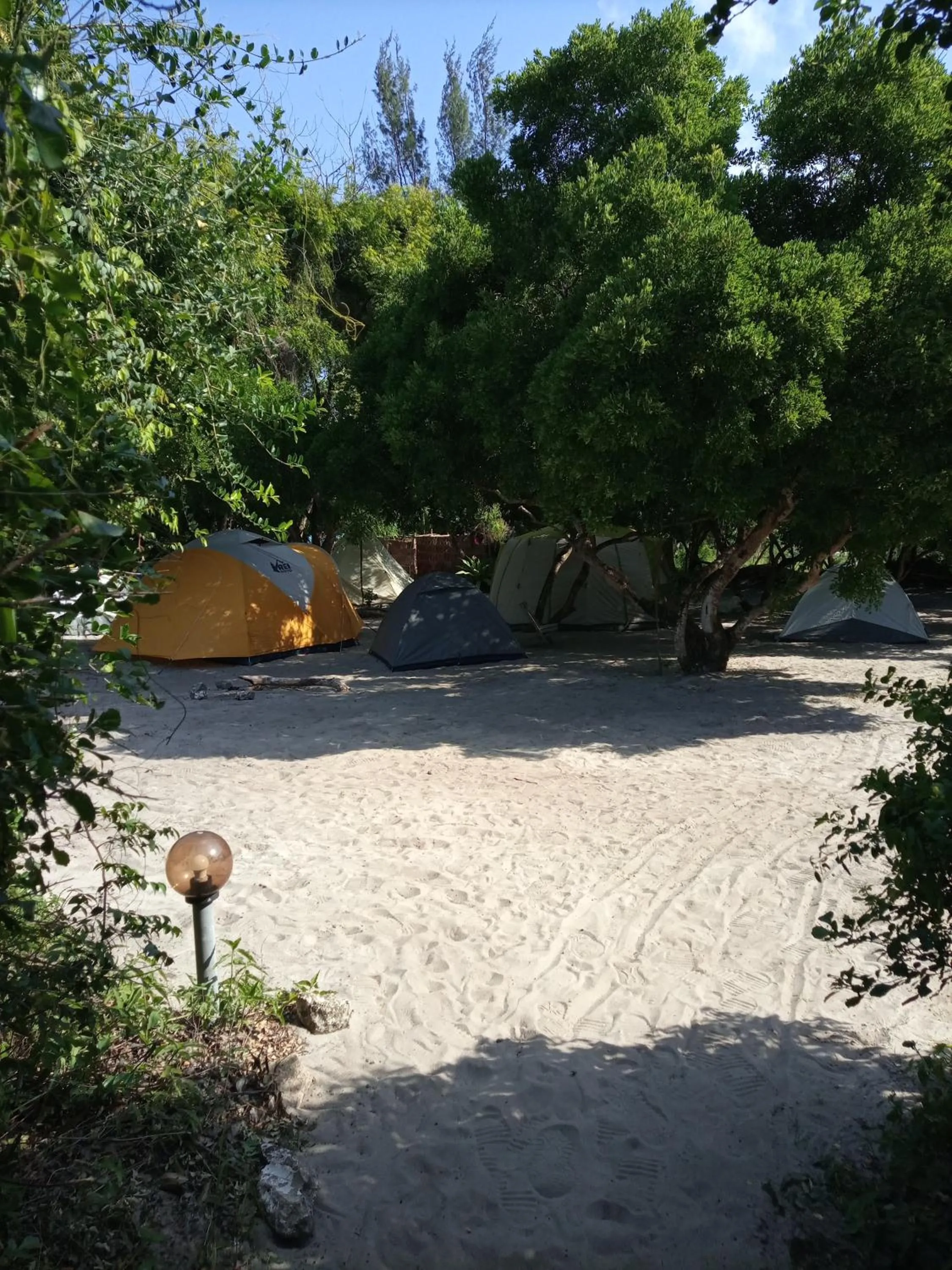 Natural landscape in Mida Creek Eco Camp