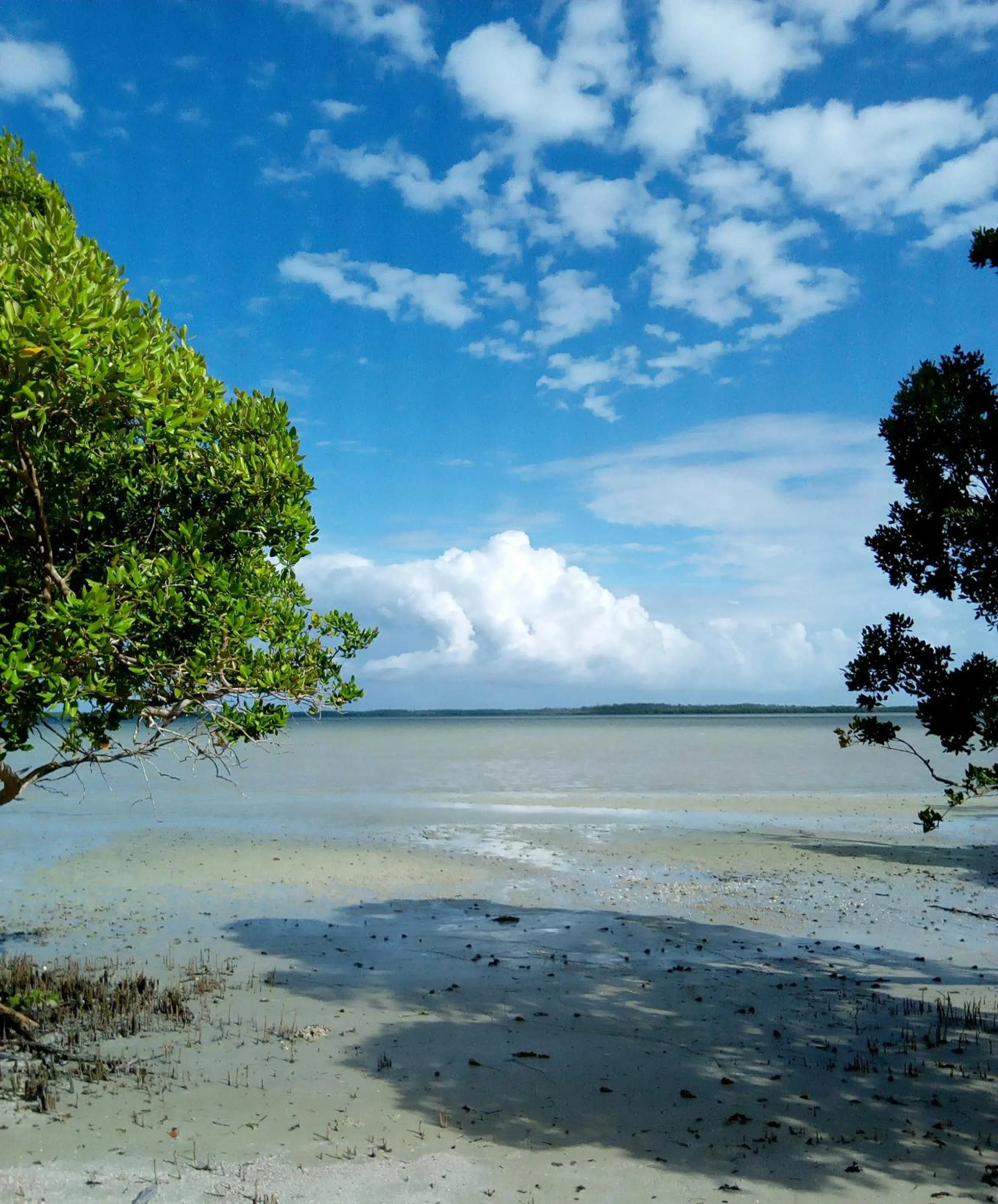 Beach in Mida Creek Eco Camp