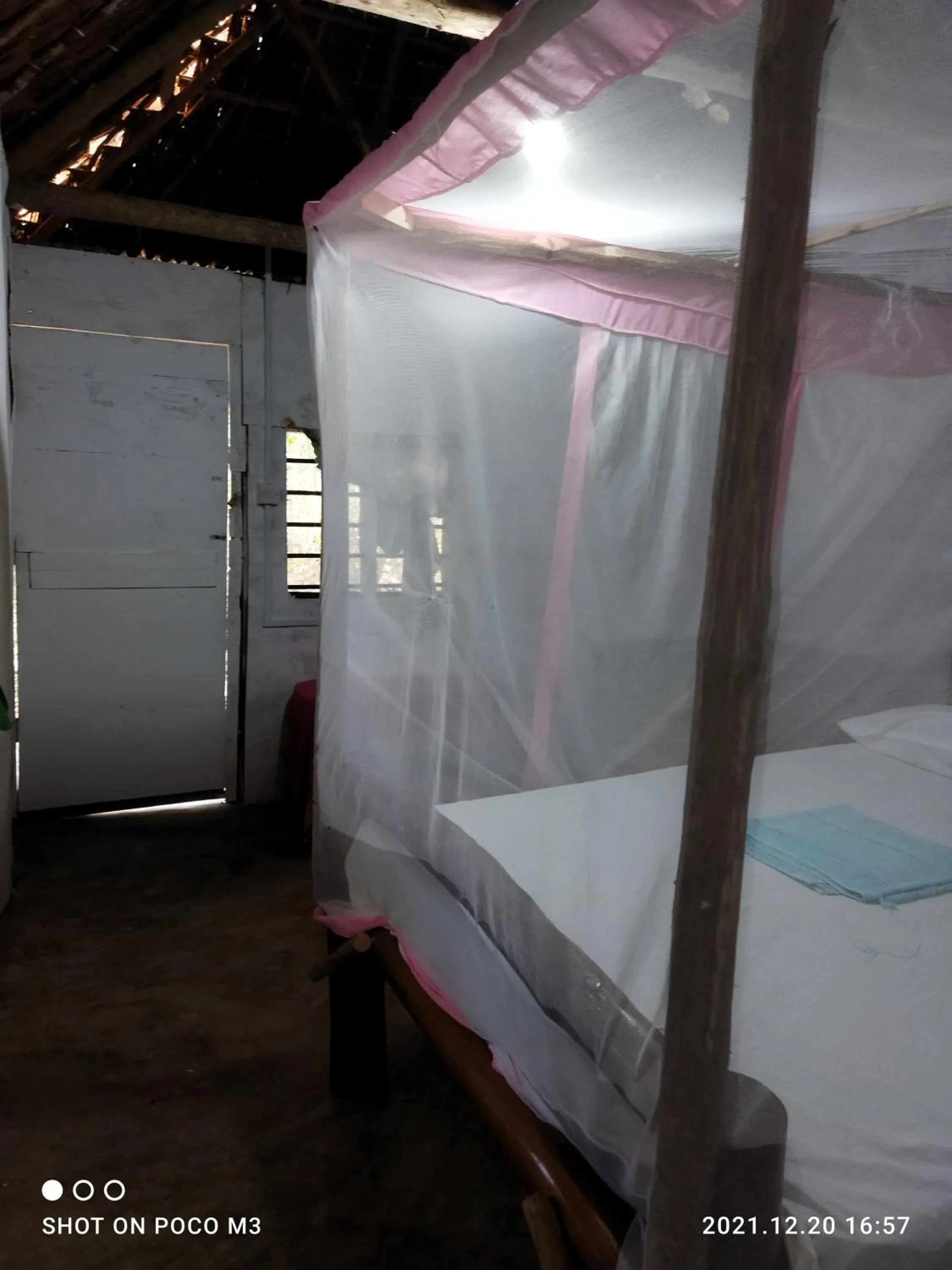 Bed in Mida Creek Eco Camp