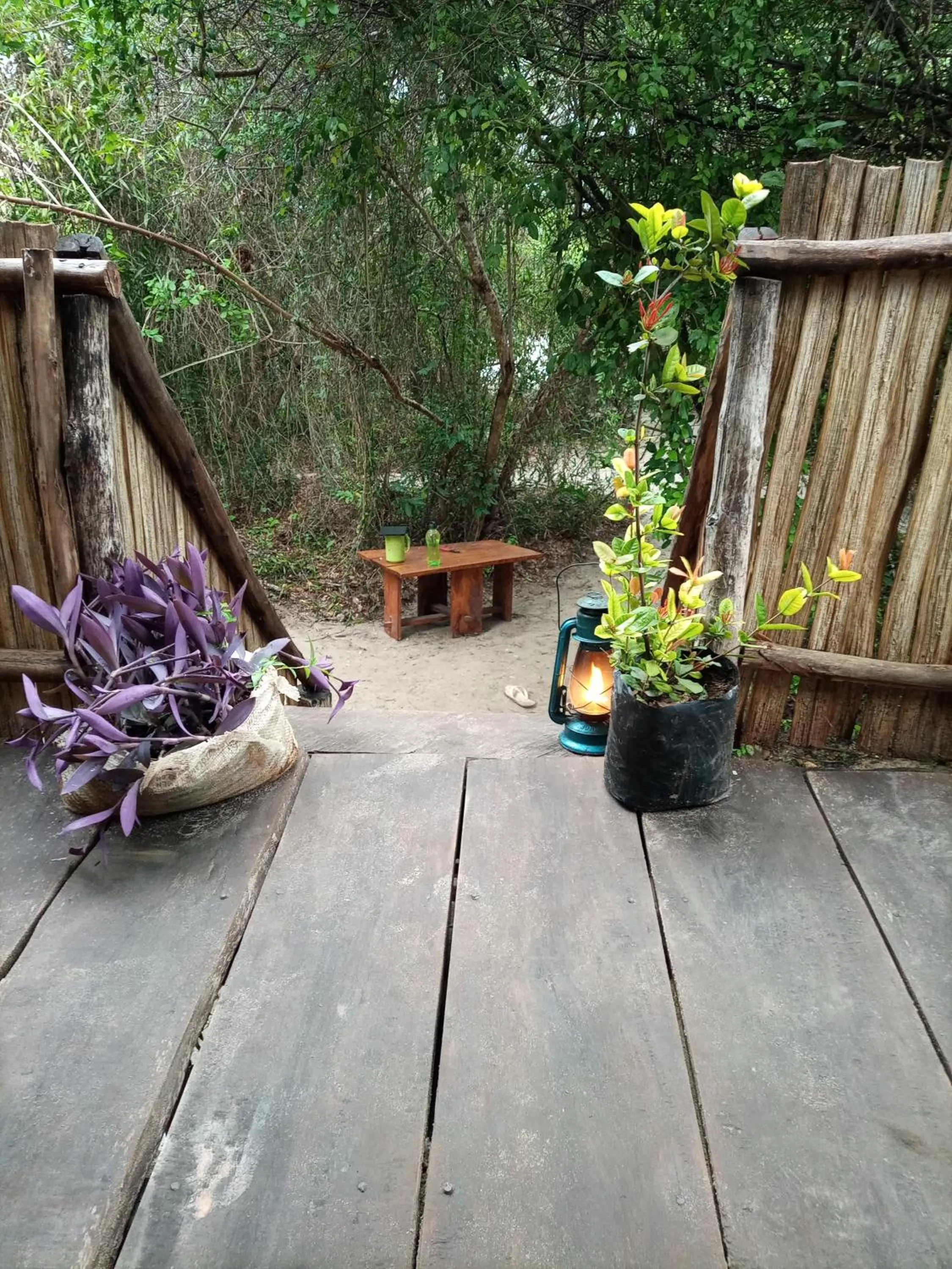 Garden in Mida Creek Eco Camp