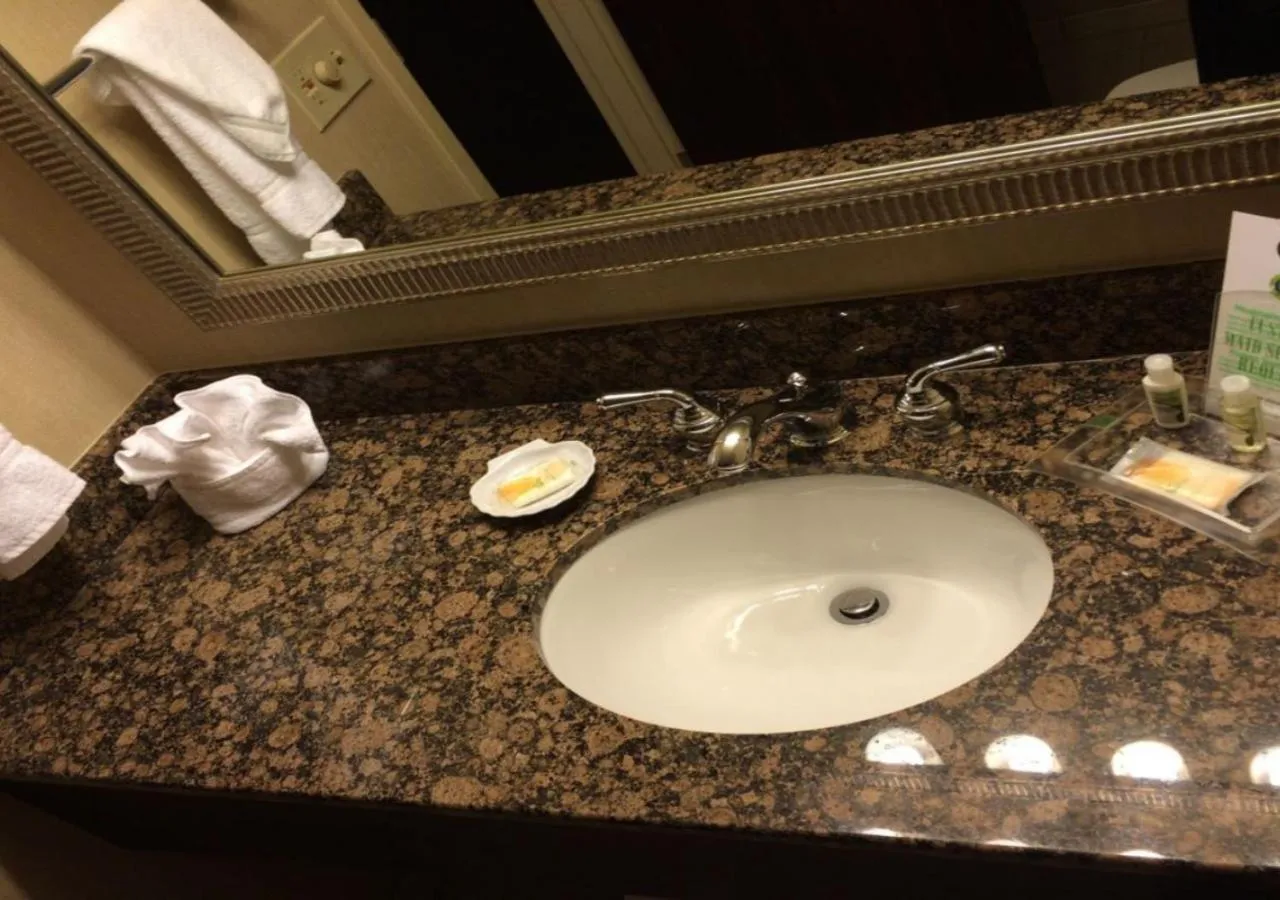 Bathroom in Holiday Inn Springdale-Fayetteville Area by IHG