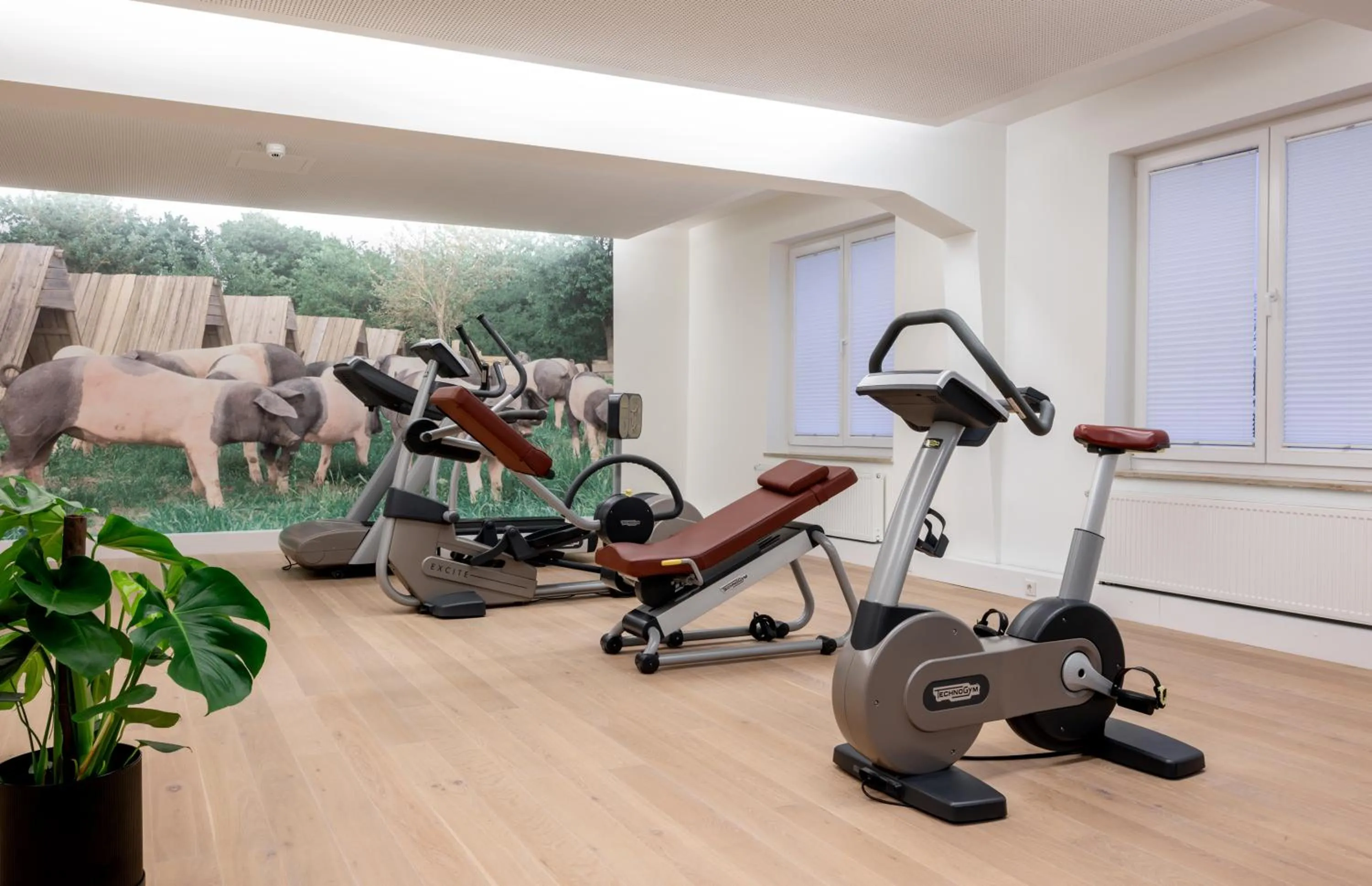 Fitness centre/facilities in WITTMANNs